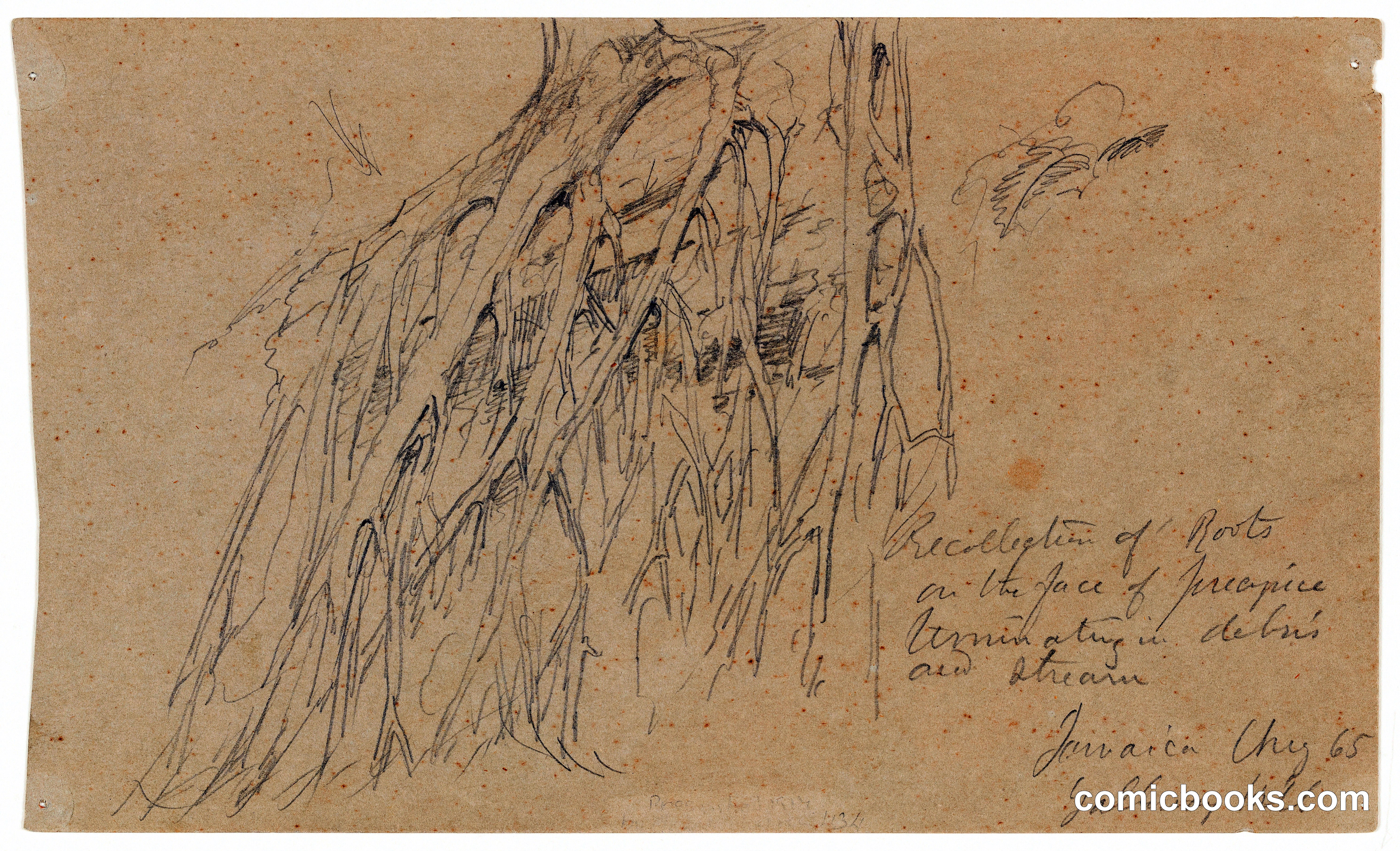 Recollection of Roots, Galloway Hill, Jamaica
