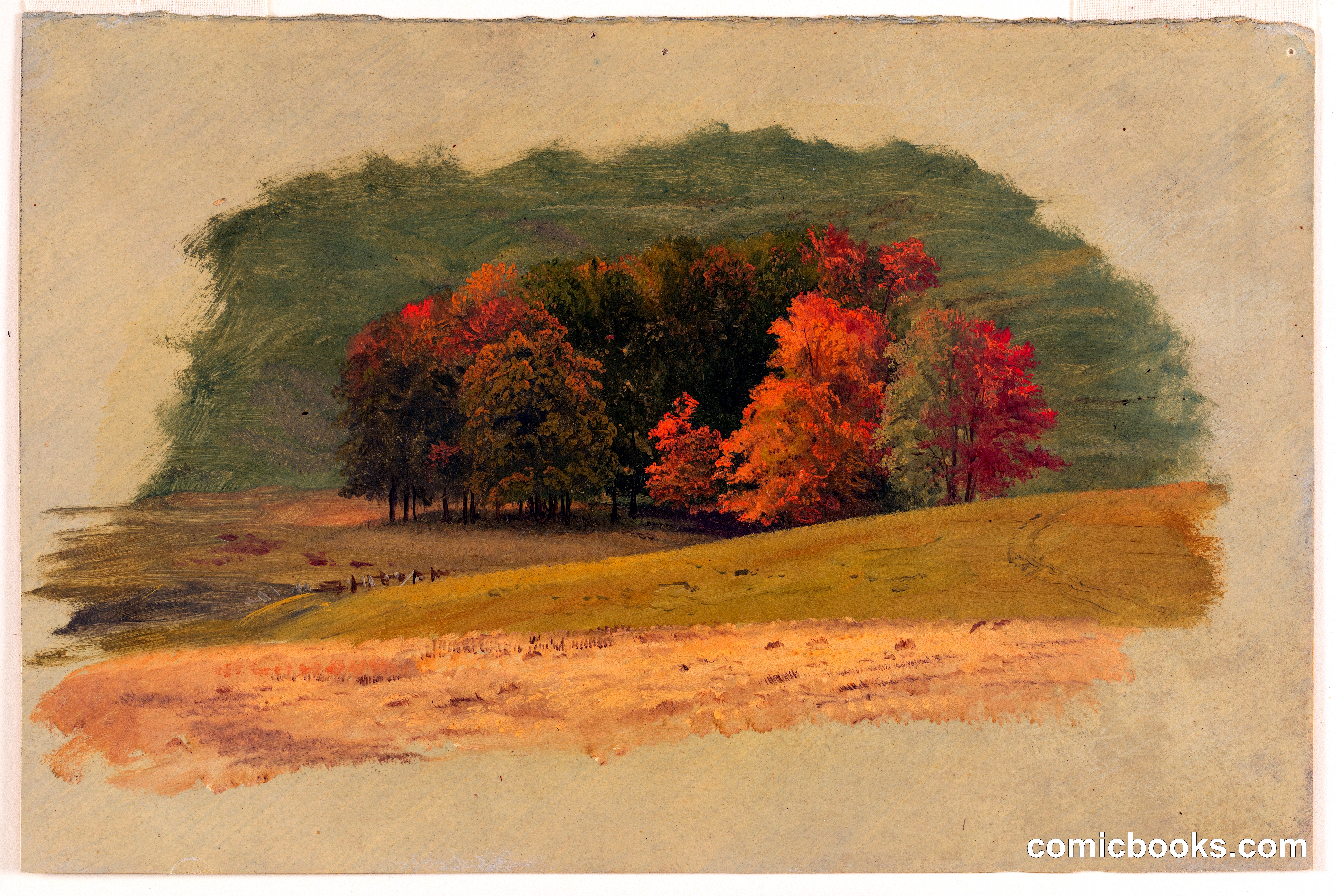 Grove of Trees in Autumn, Vermont