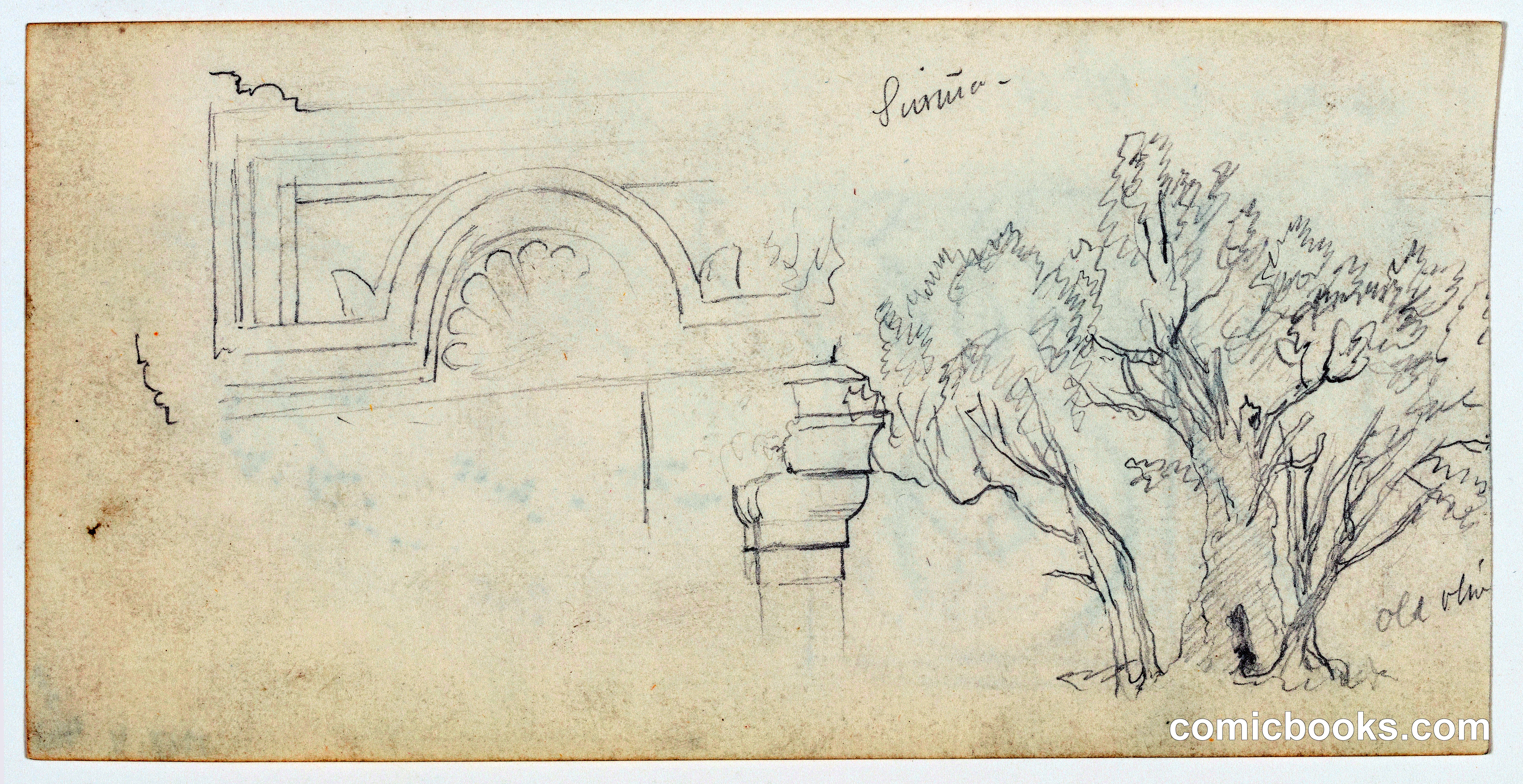 Old Olive Tree and Entablature, as-Samu, Palestine