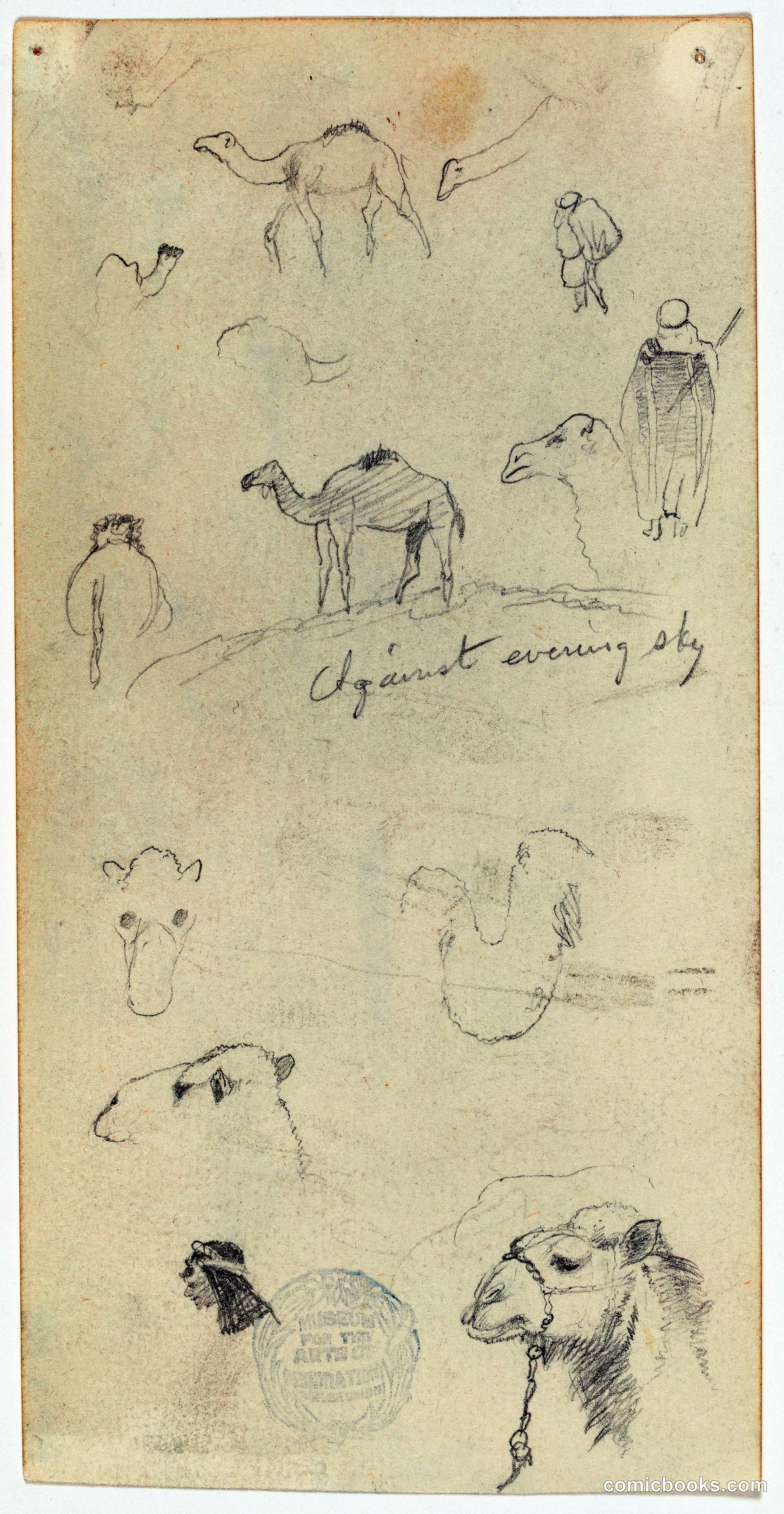 Camel Studies, Against Evening Sky, Palestine