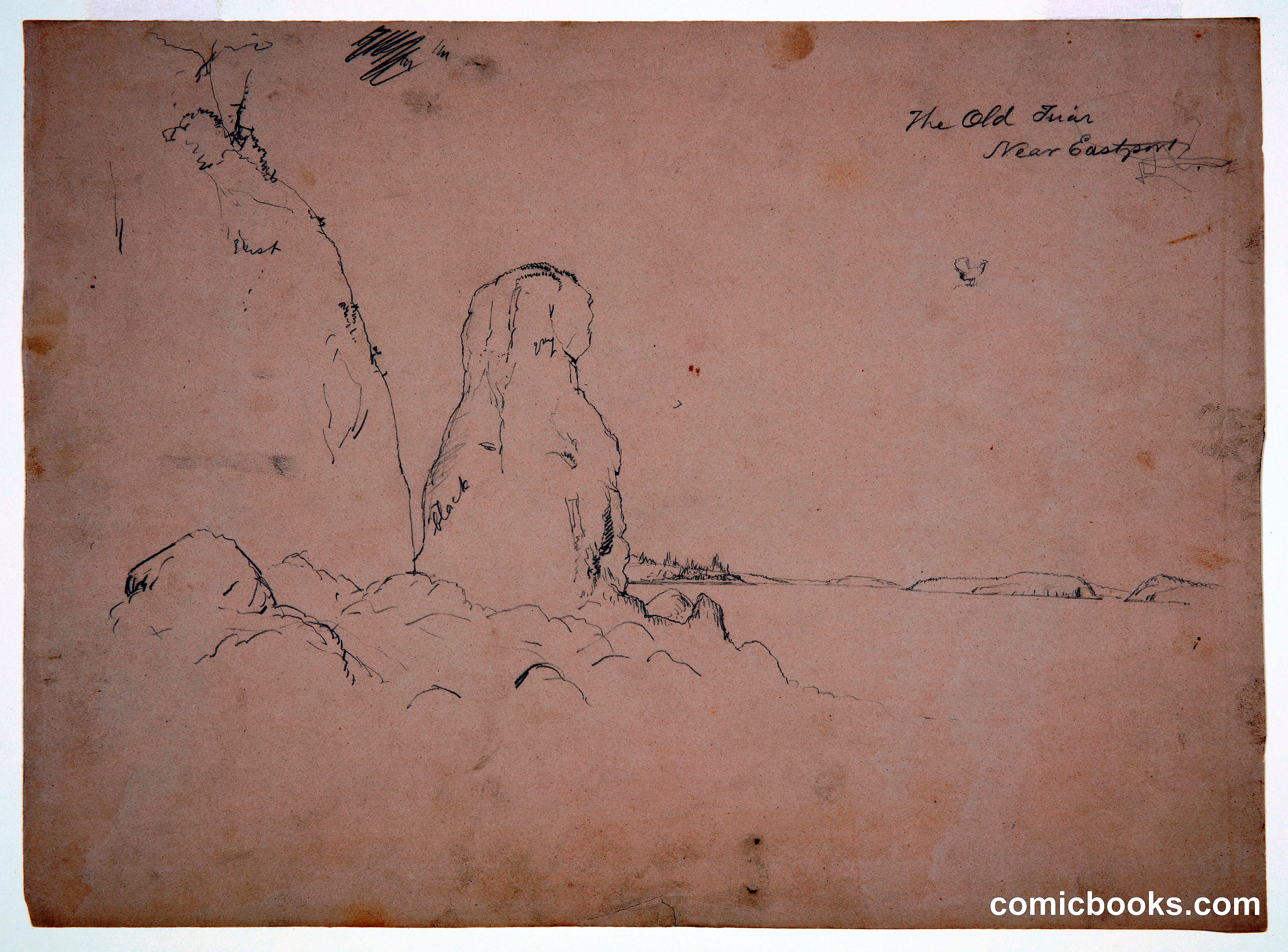The Old Friar, Near Eastport, Maine