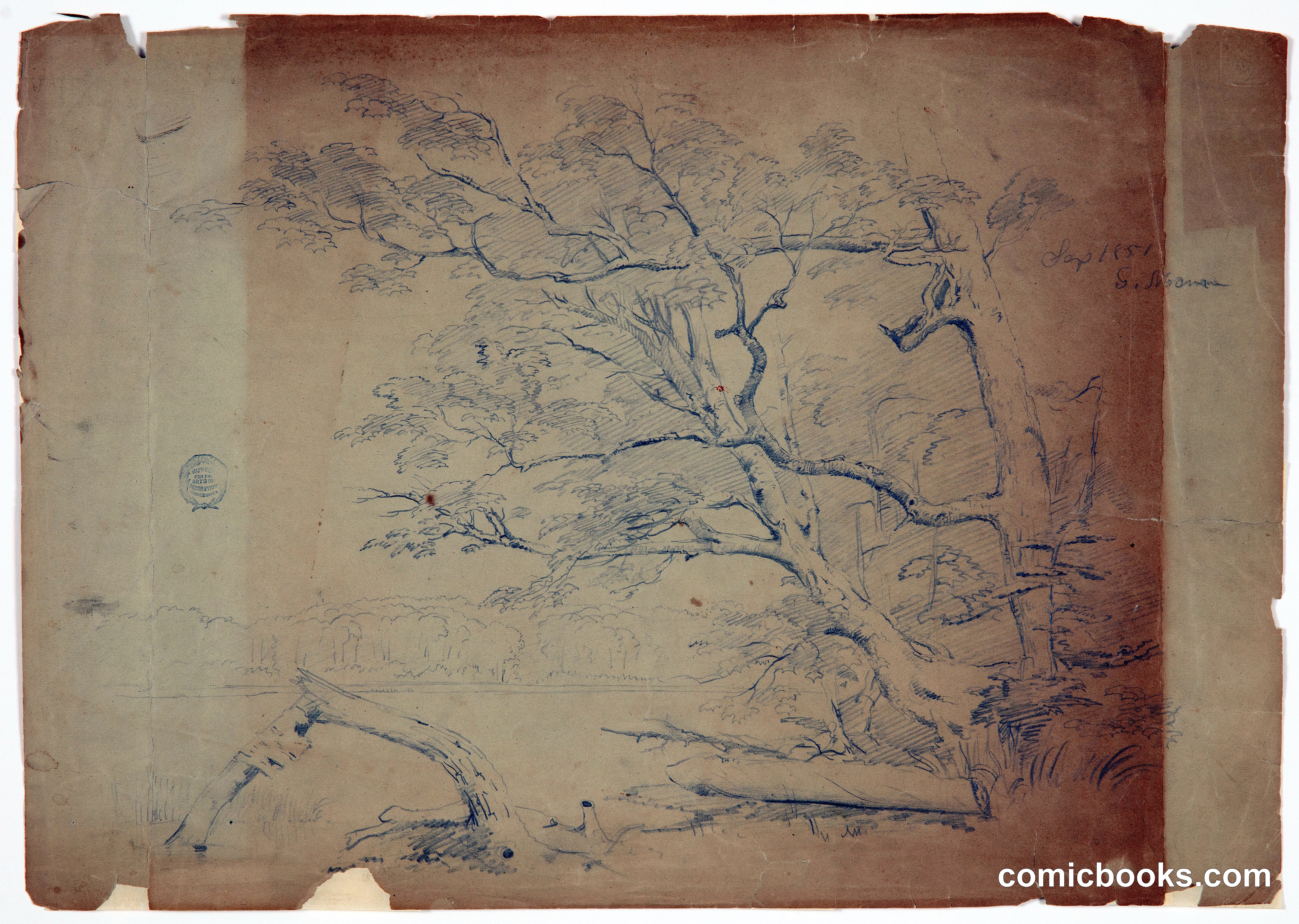 Landscape with Trees, Grand Manan Island, Canada