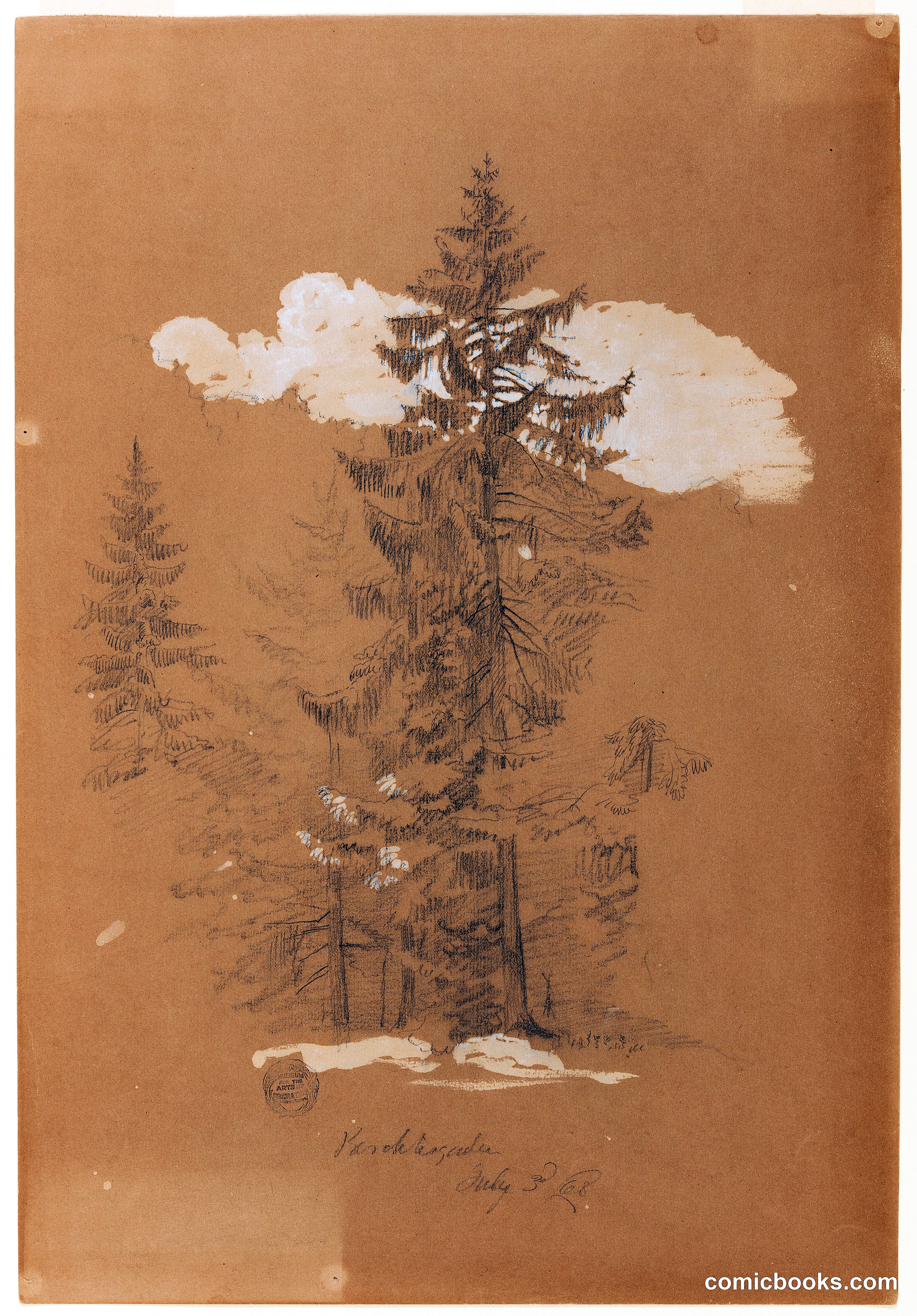 Trees near Berchtesgaden, Bavaria