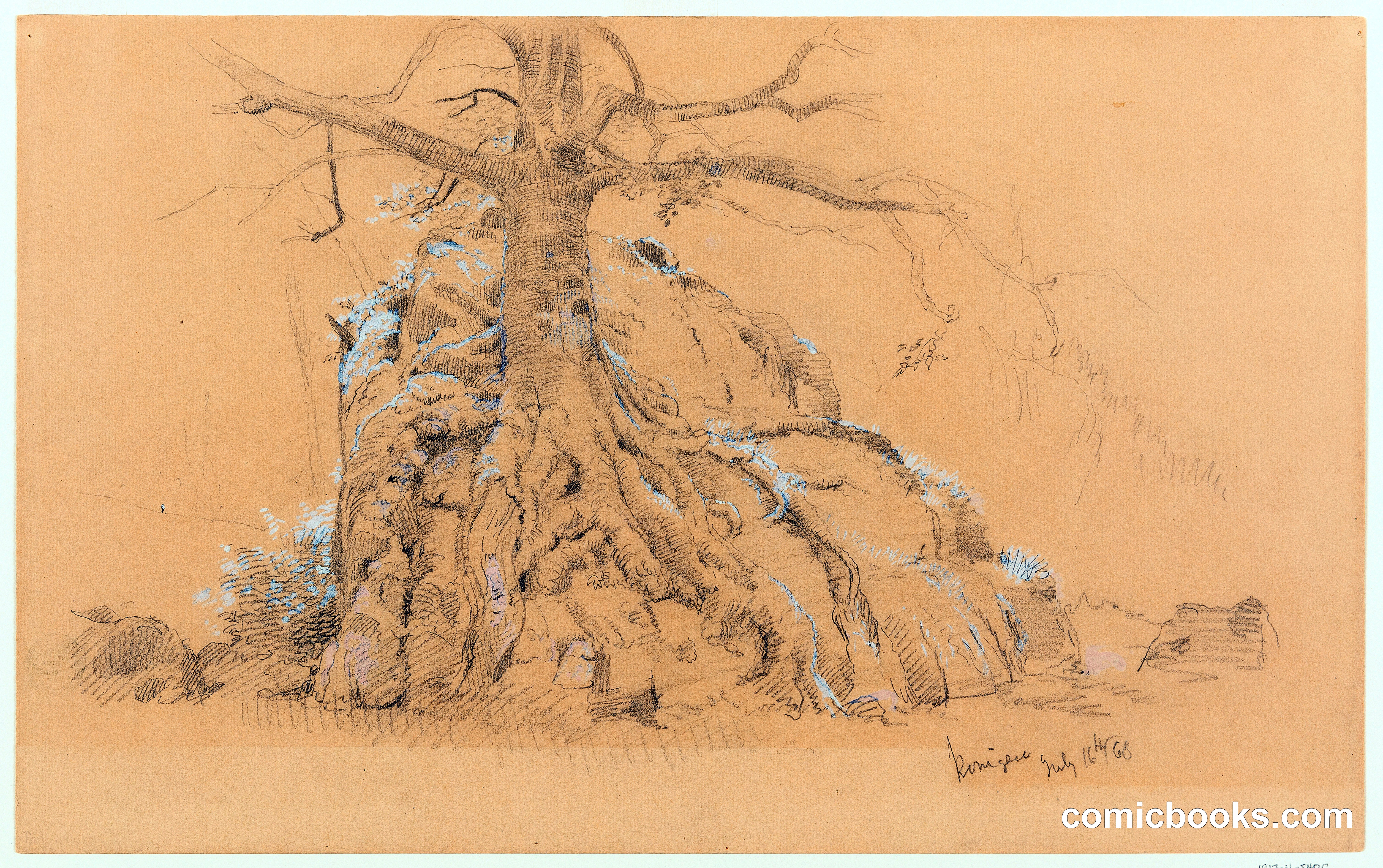 Königssee Tree, Bavaria