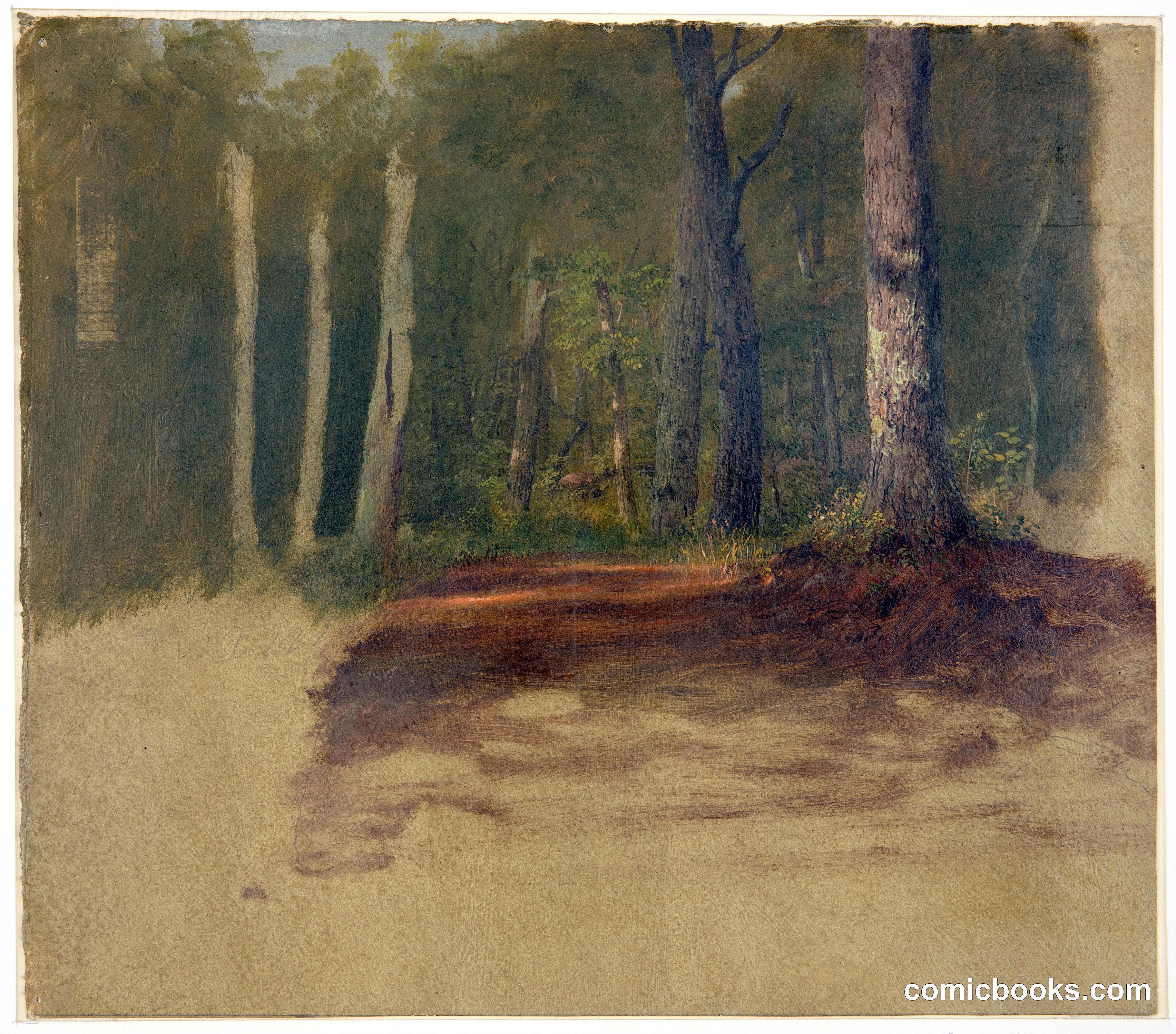 A Road into the Woods