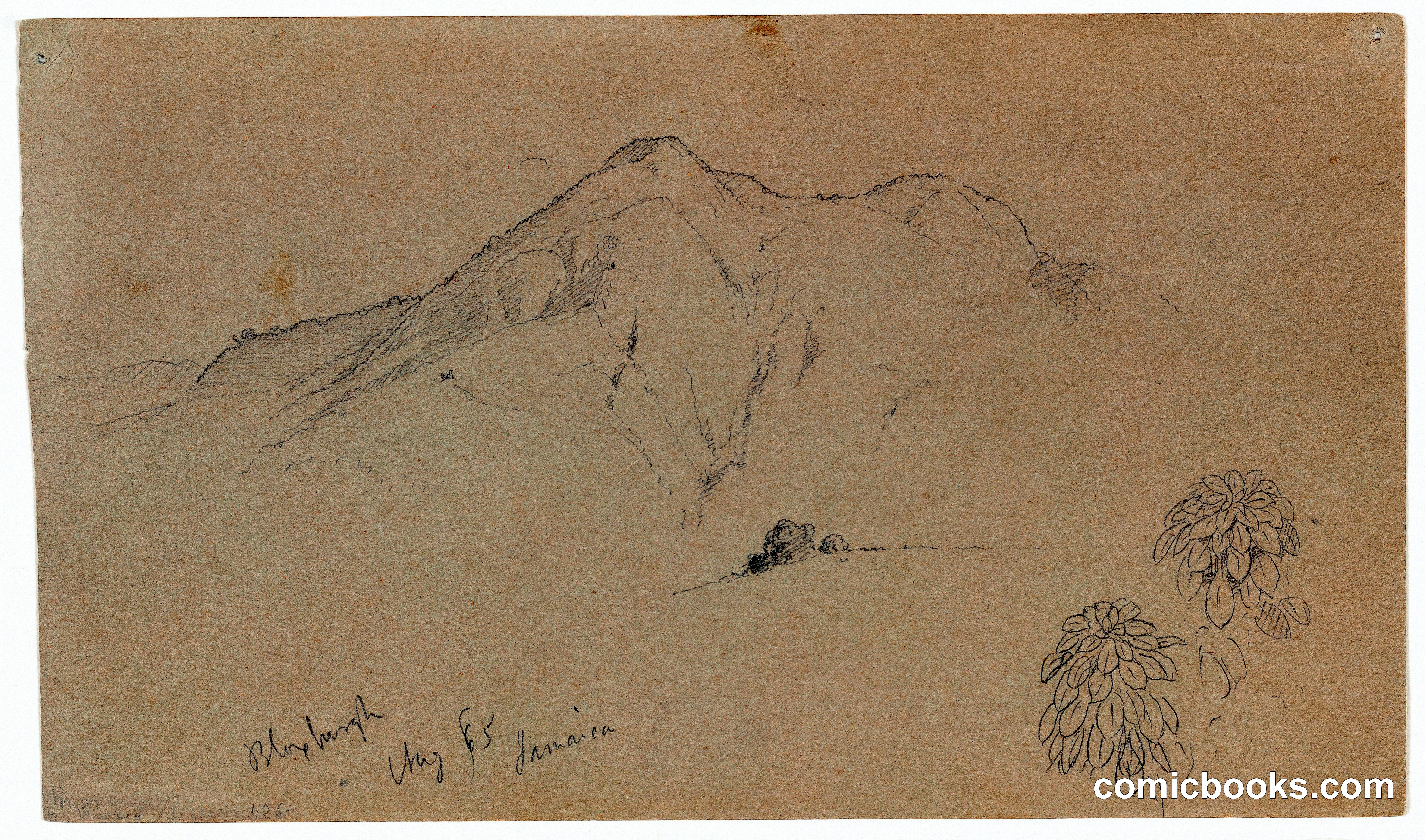 Mountain and Plants, Bloxburgh, Jamaica