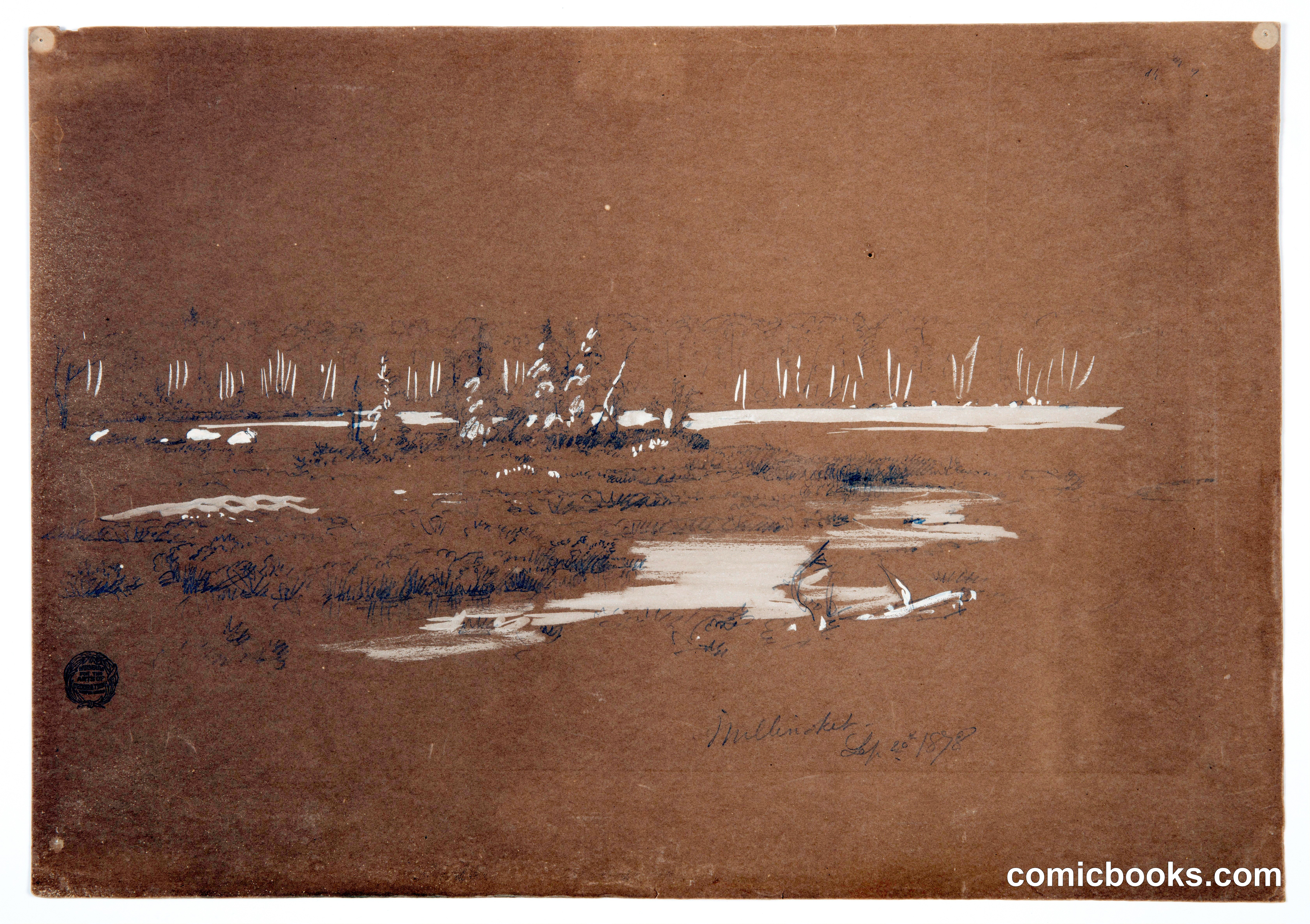 Marshy Landscape near Millinocket Lake, Maine