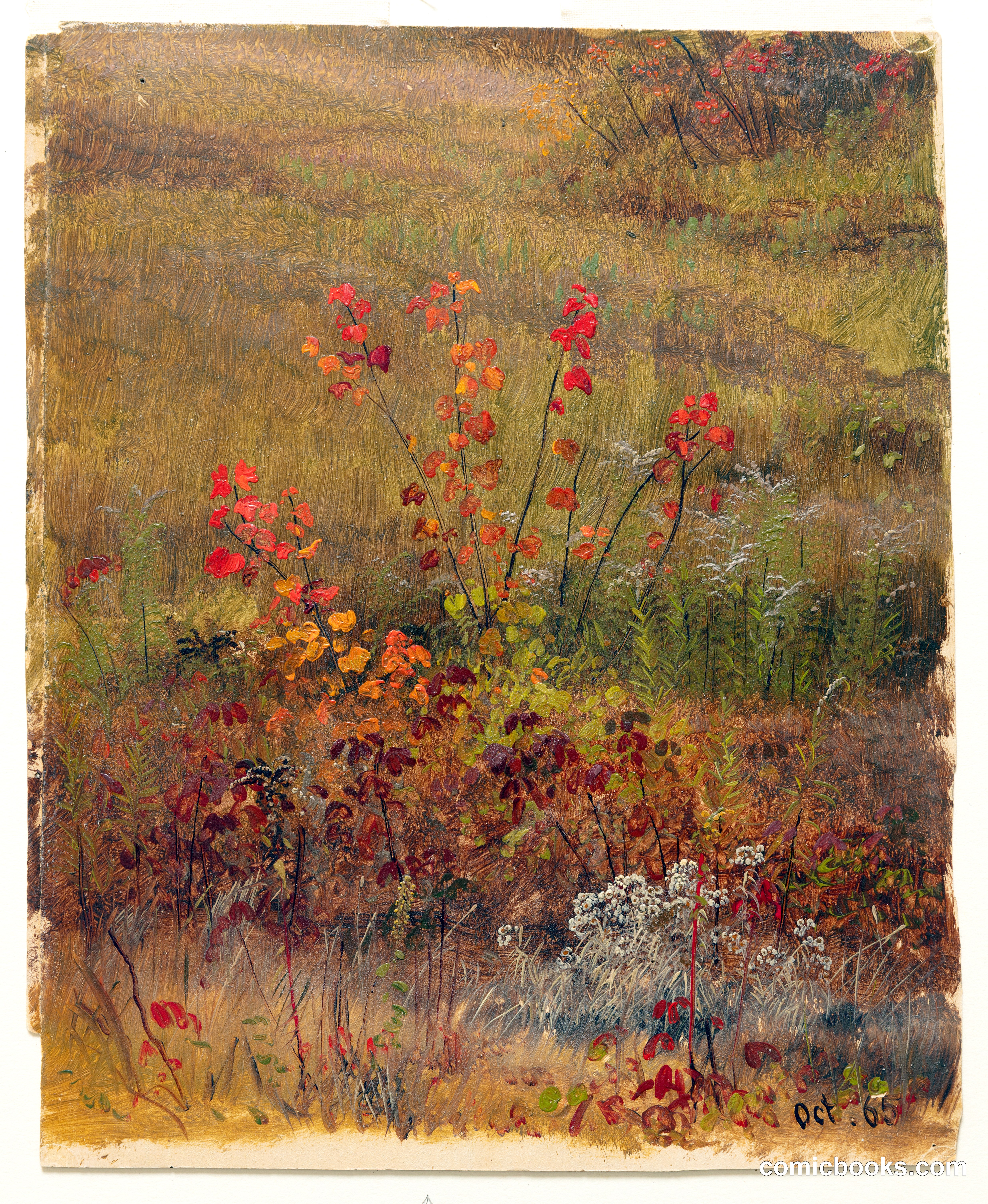 Meadow in Autumn, Vermont