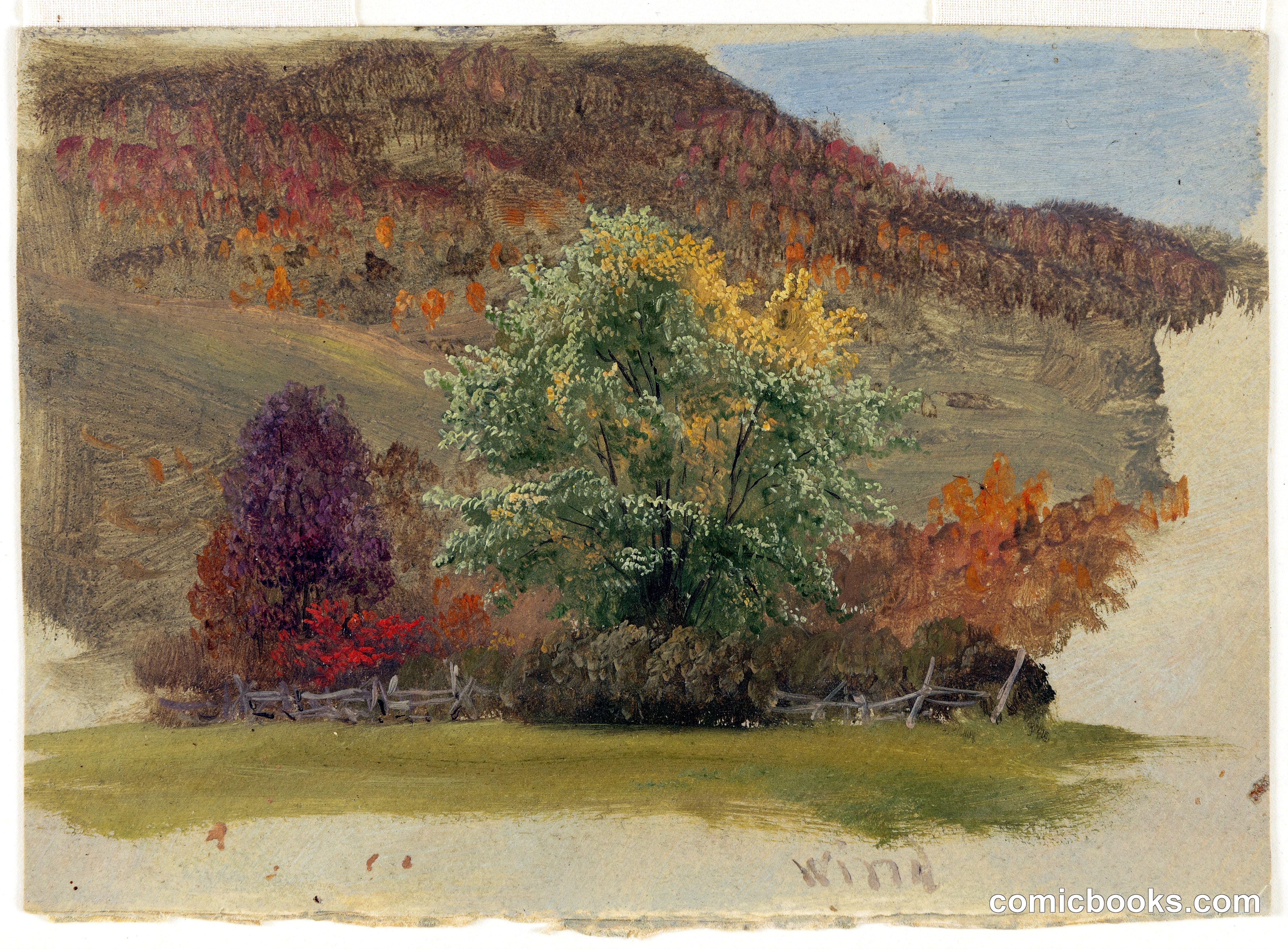 Autumn Foliage in the Wind, Vermont