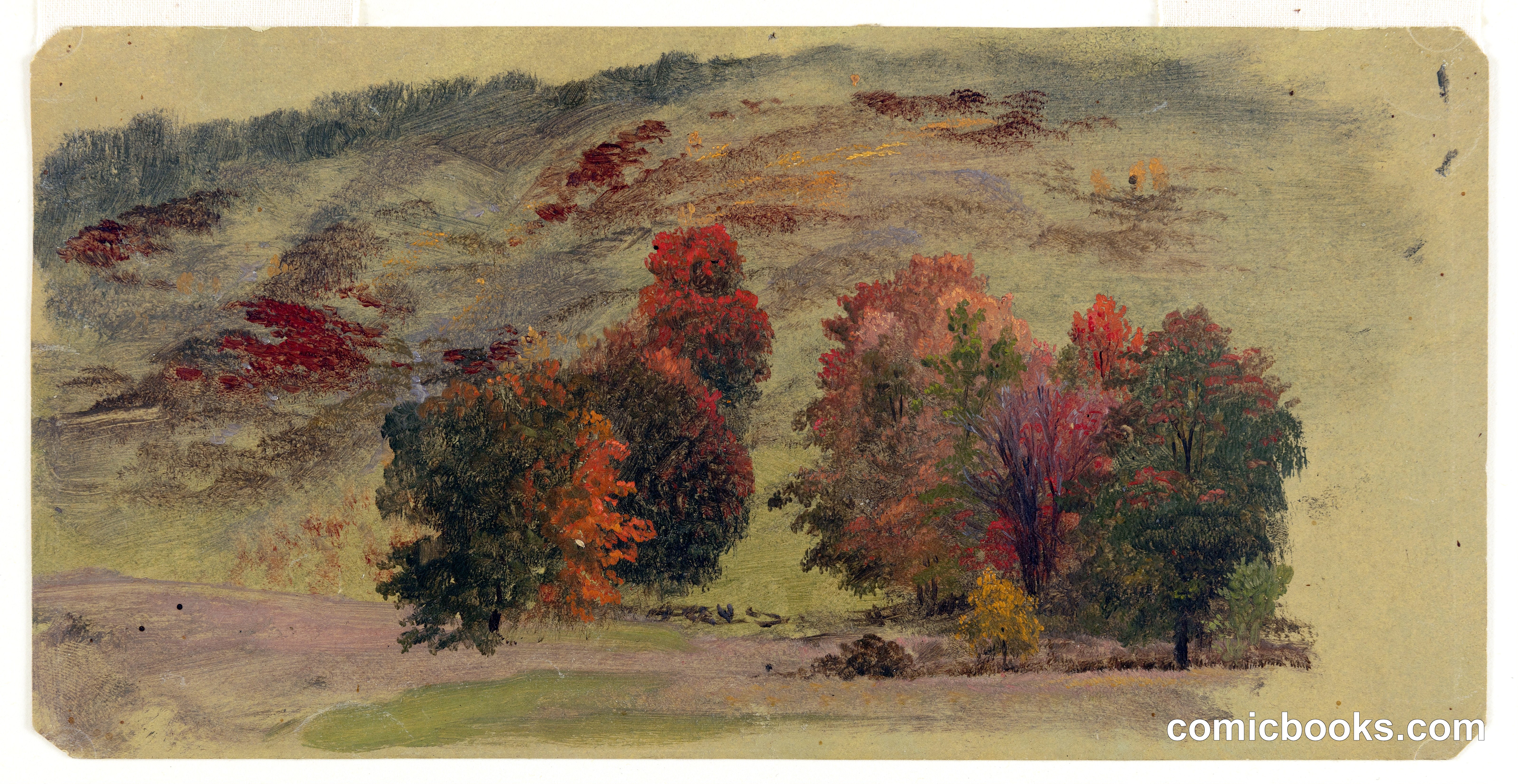 Autumn Colors, Vermont