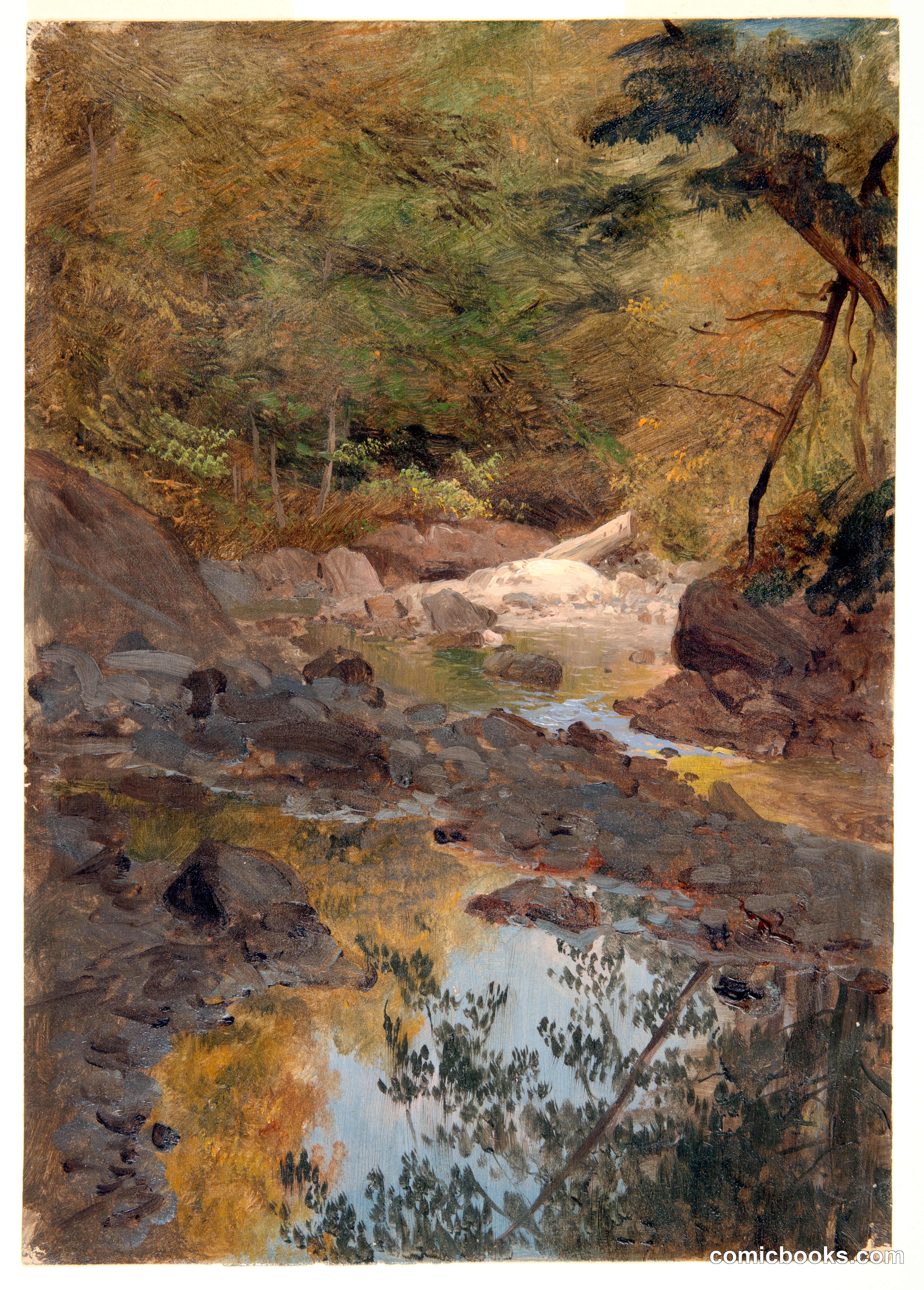 Woodland Stream