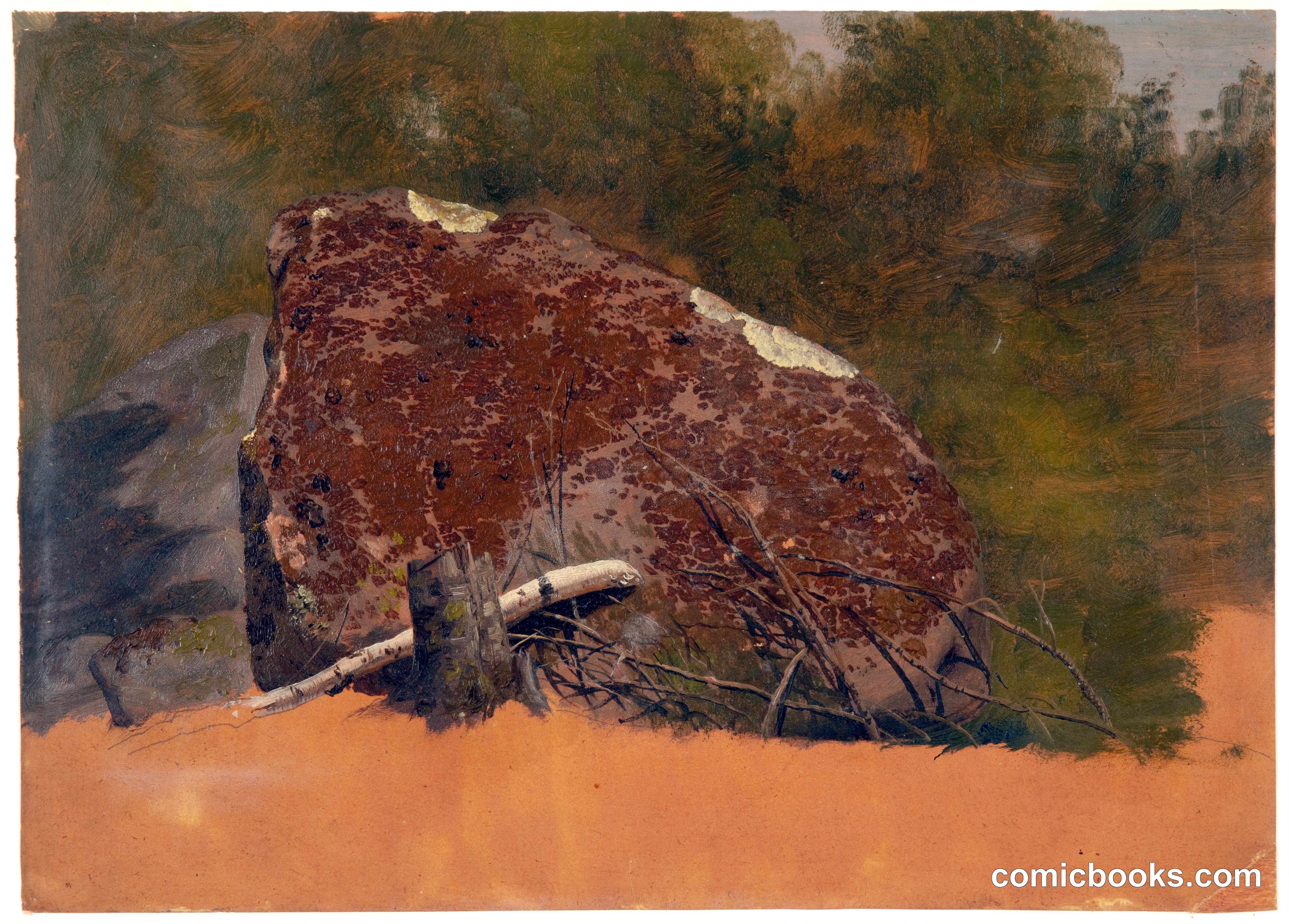 Boulder on Mt. Desert Island, Maine