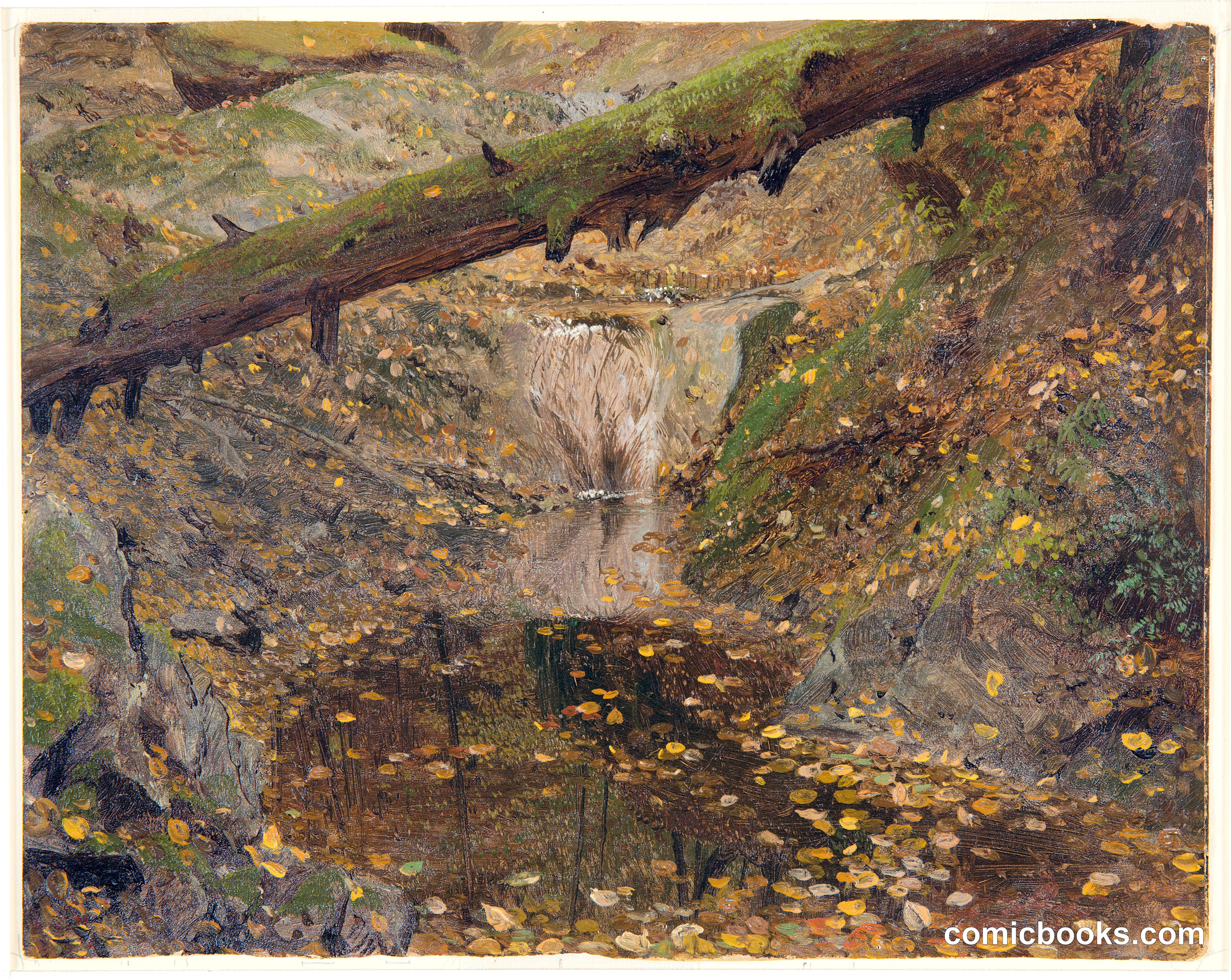 Woodland Stream, Late Autumn