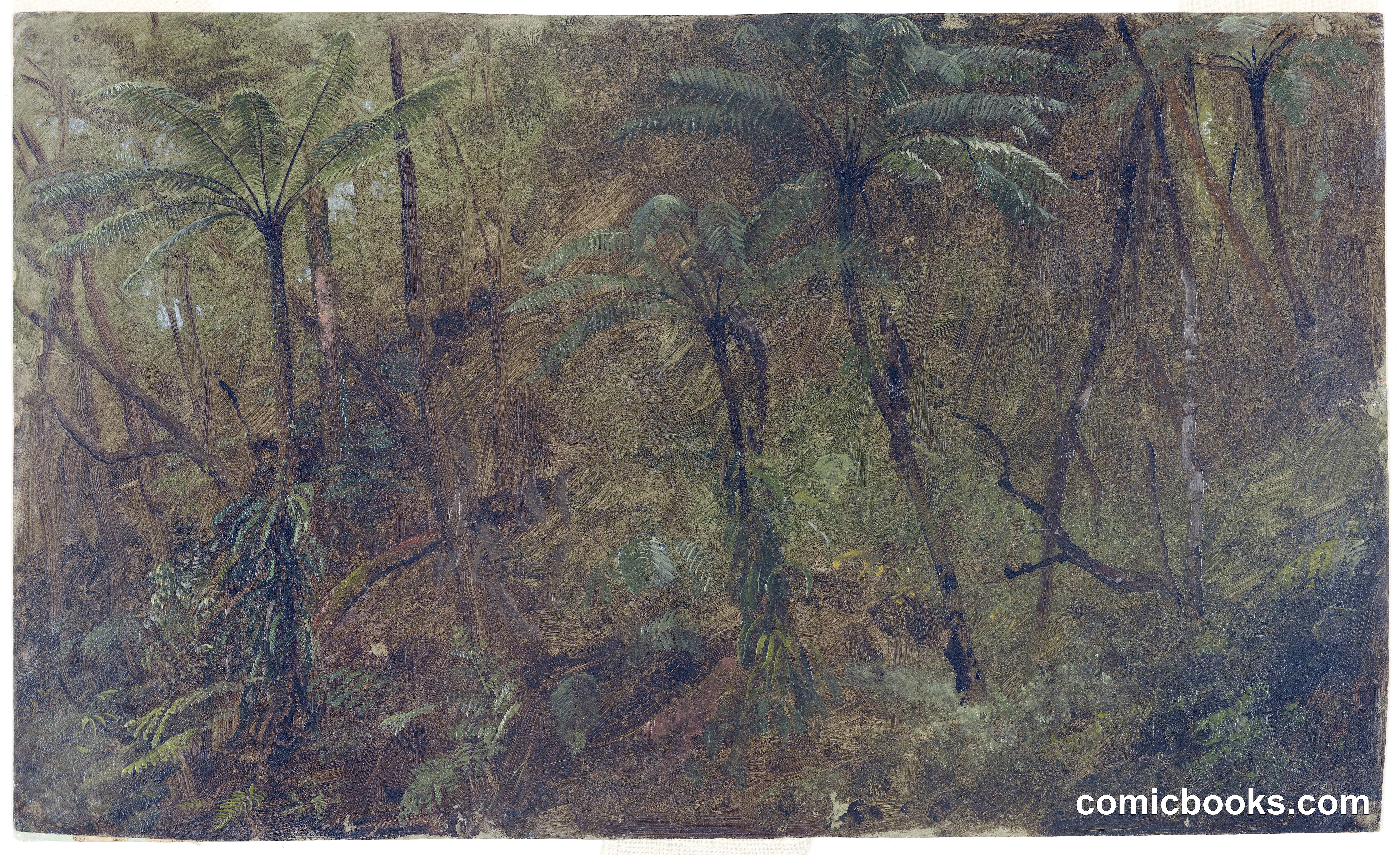 In the Woods, Jamaica