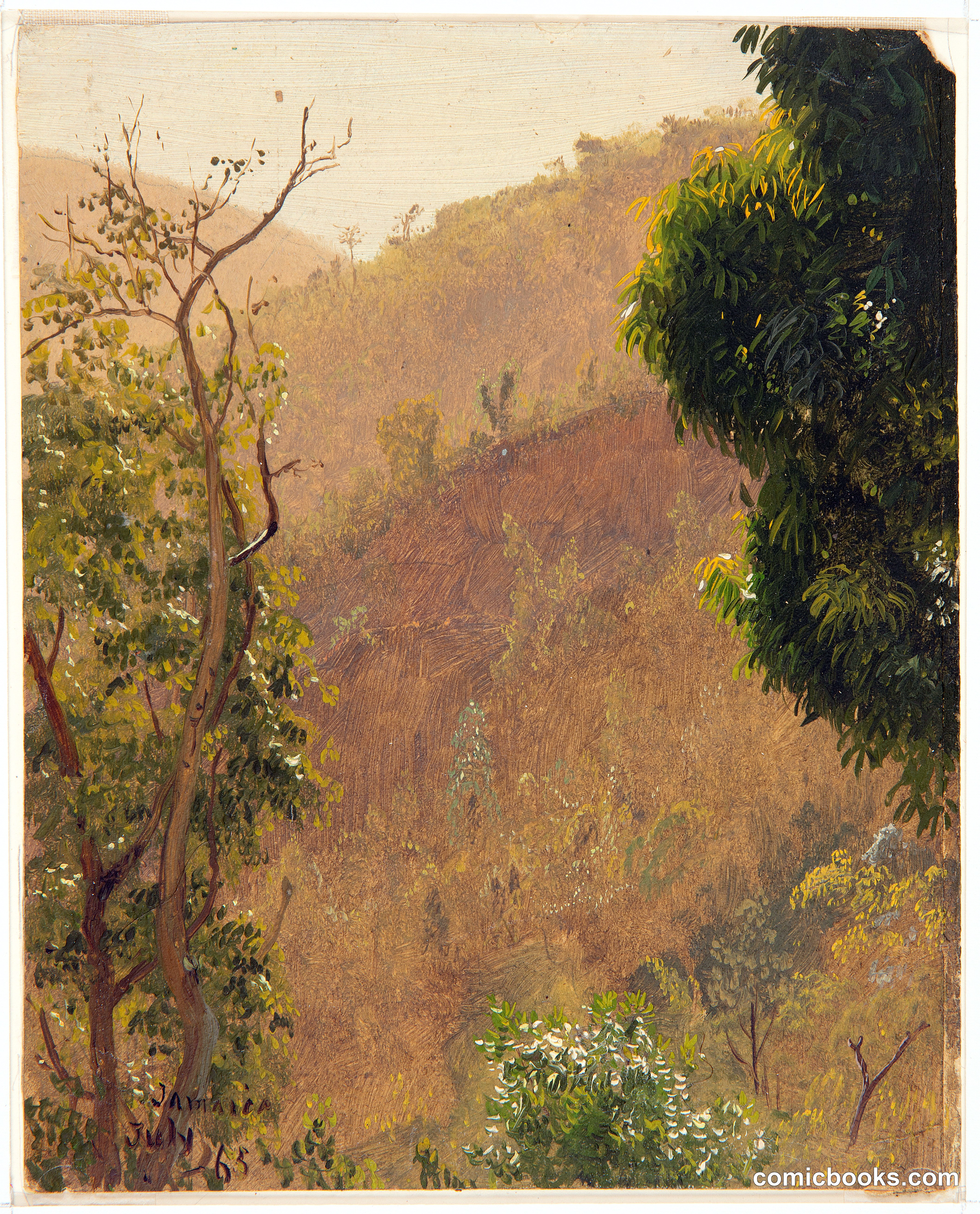 Hillsides, Jamaica
