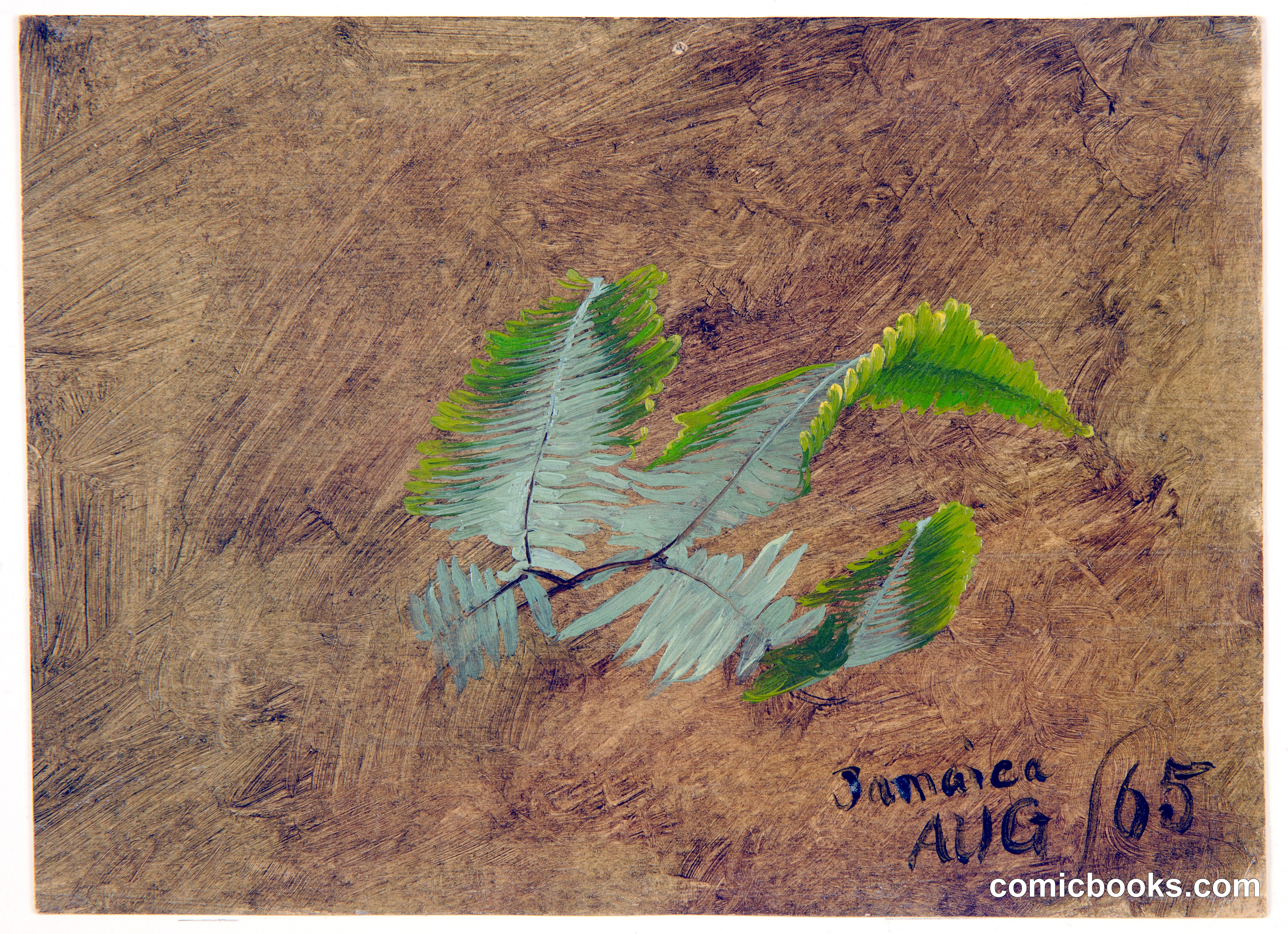 Fern Sketch, Jamaica