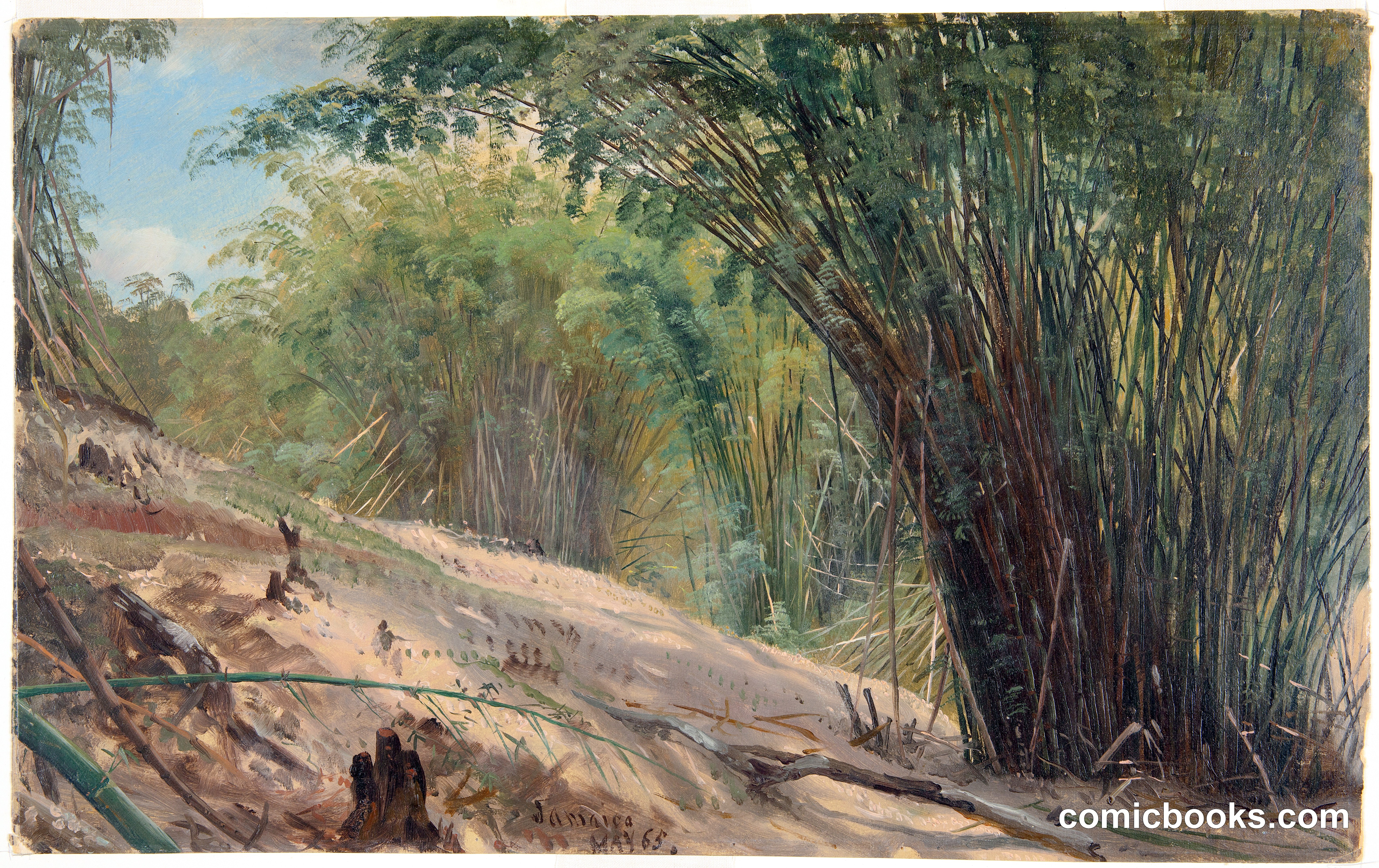 Bamboo Grove, Jamaica