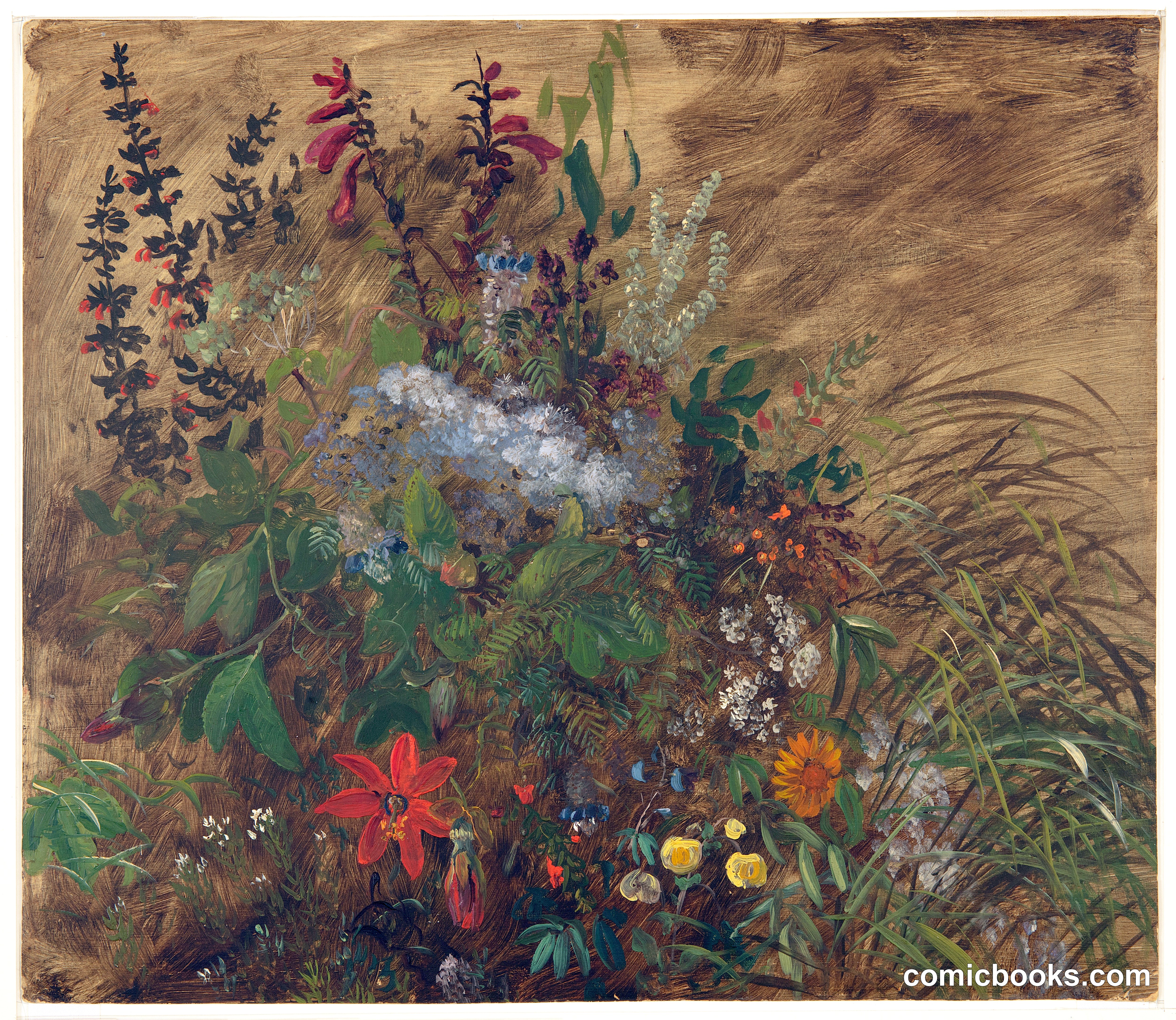 Wildflowers