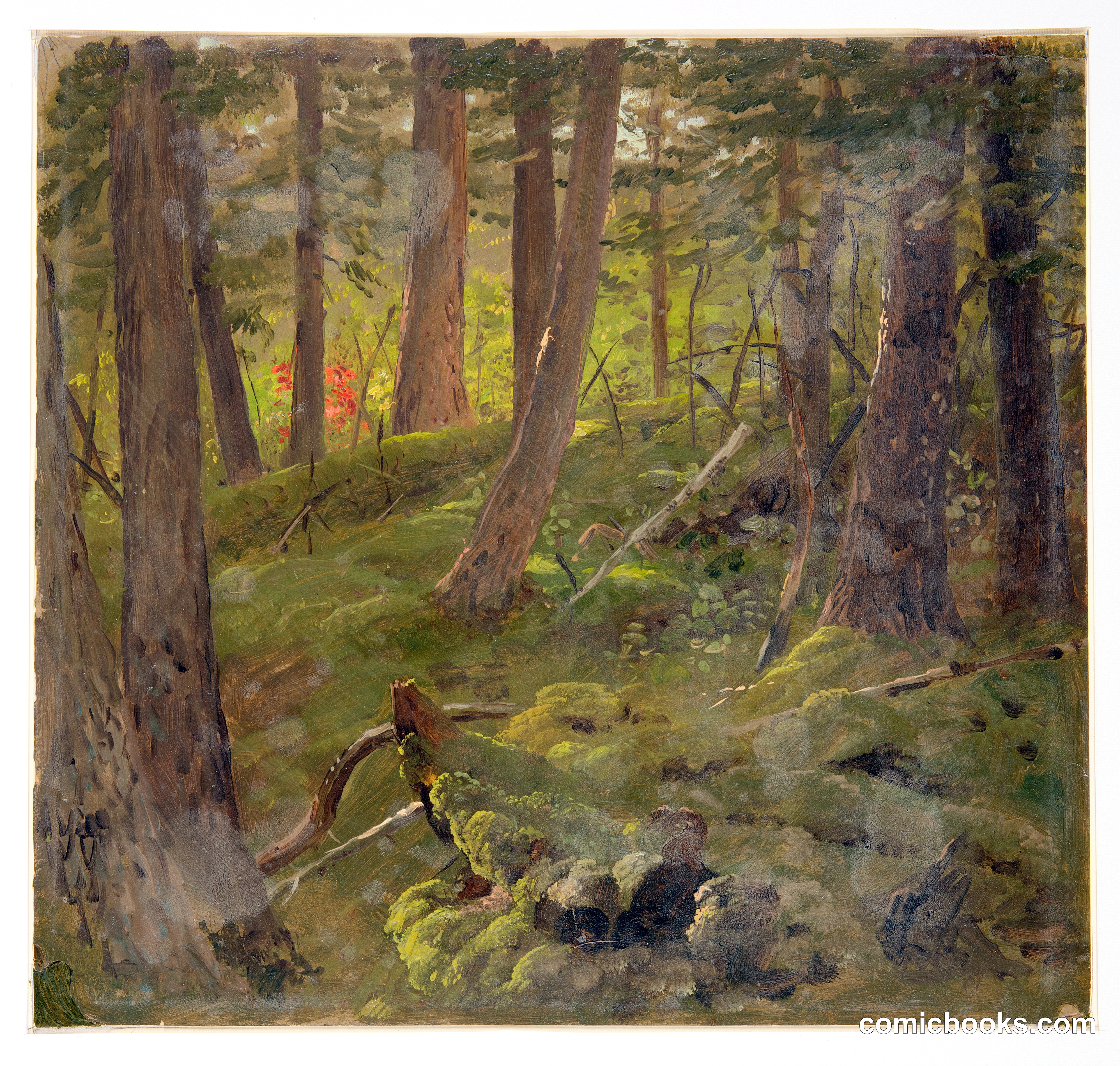 Forest Scene