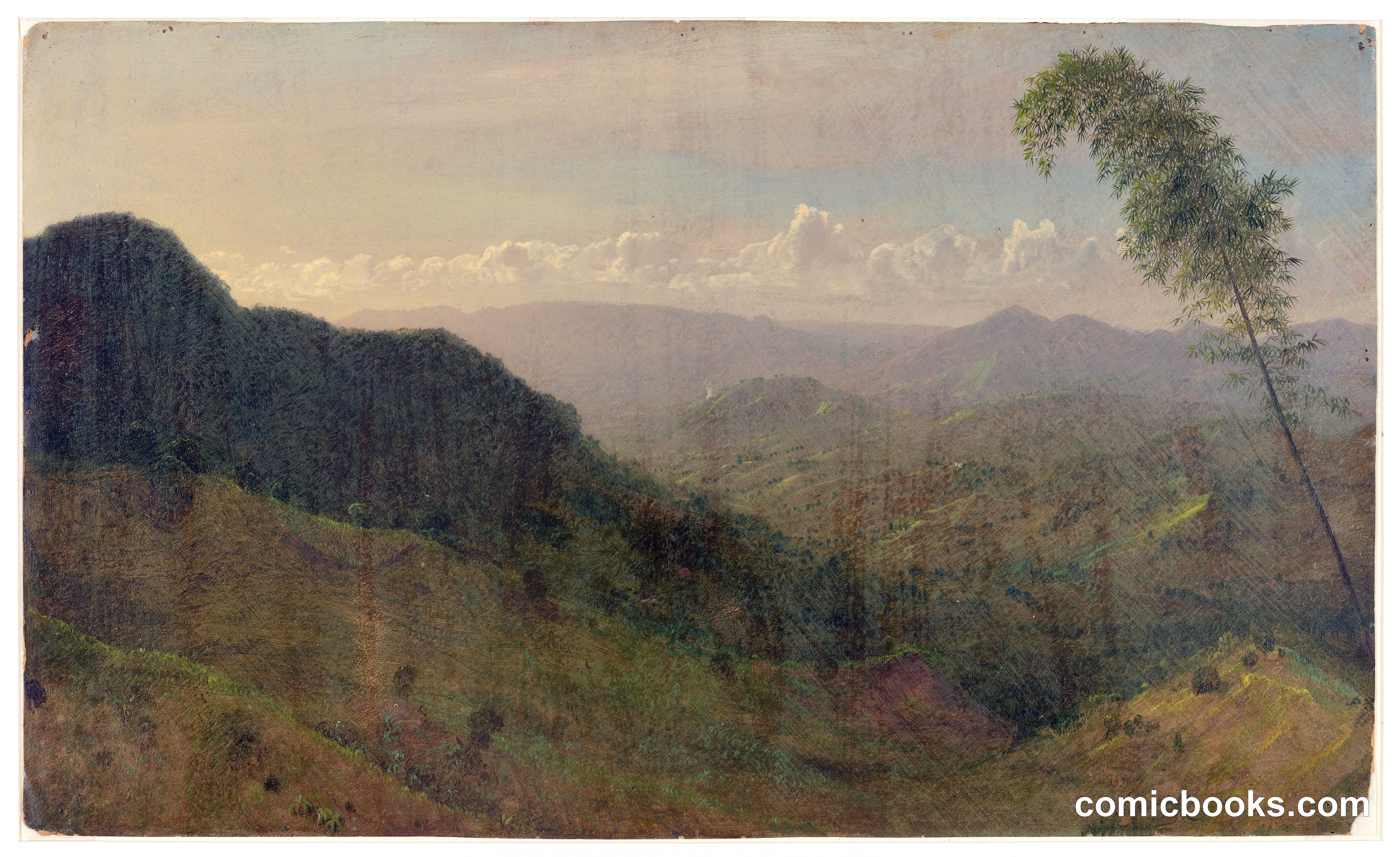 Valley and Mountain View, Jamaica