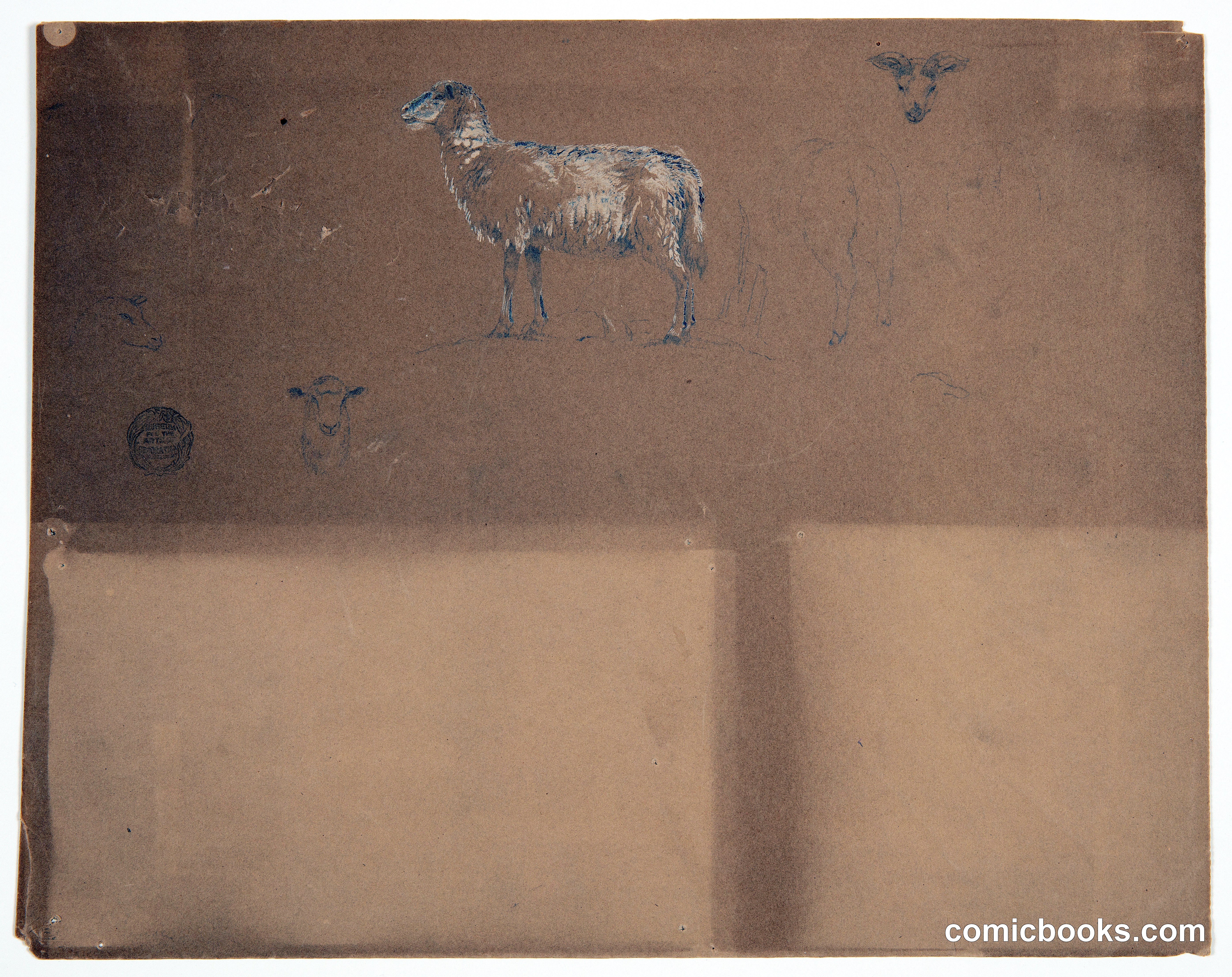 Sketches of Sheep and a Ram