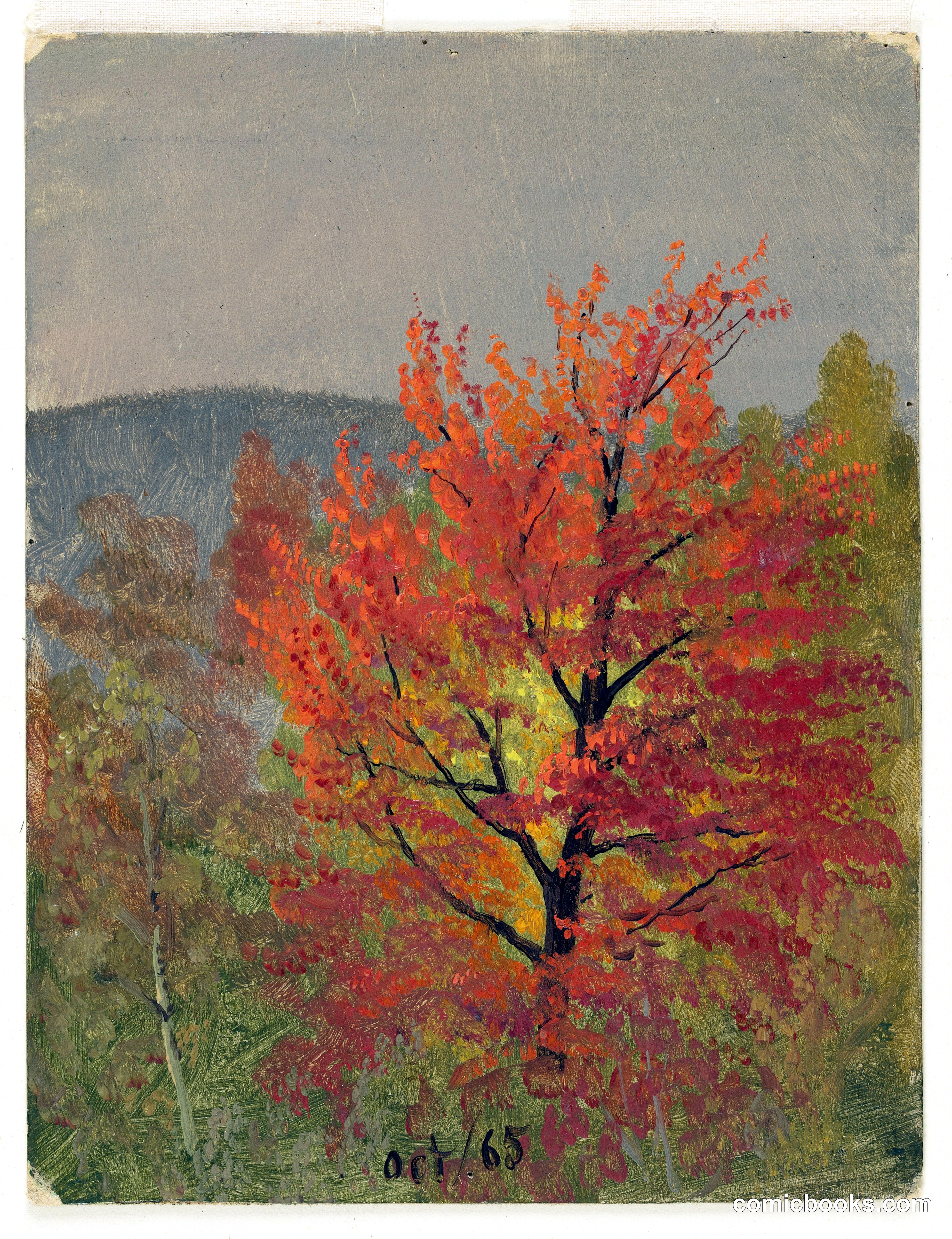 Autumn Foliage, Vermont