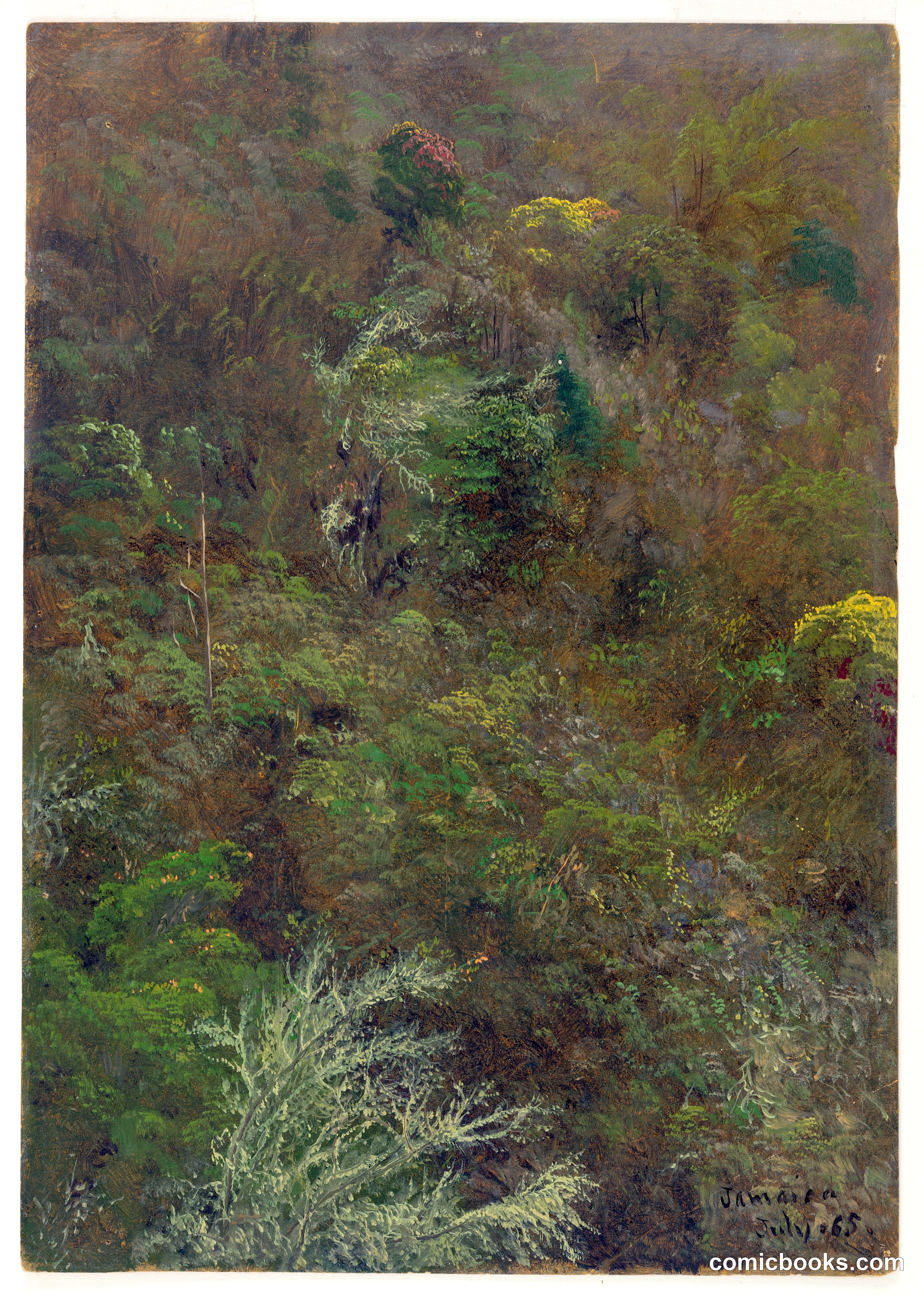 Hillside with Trees, Jamaica