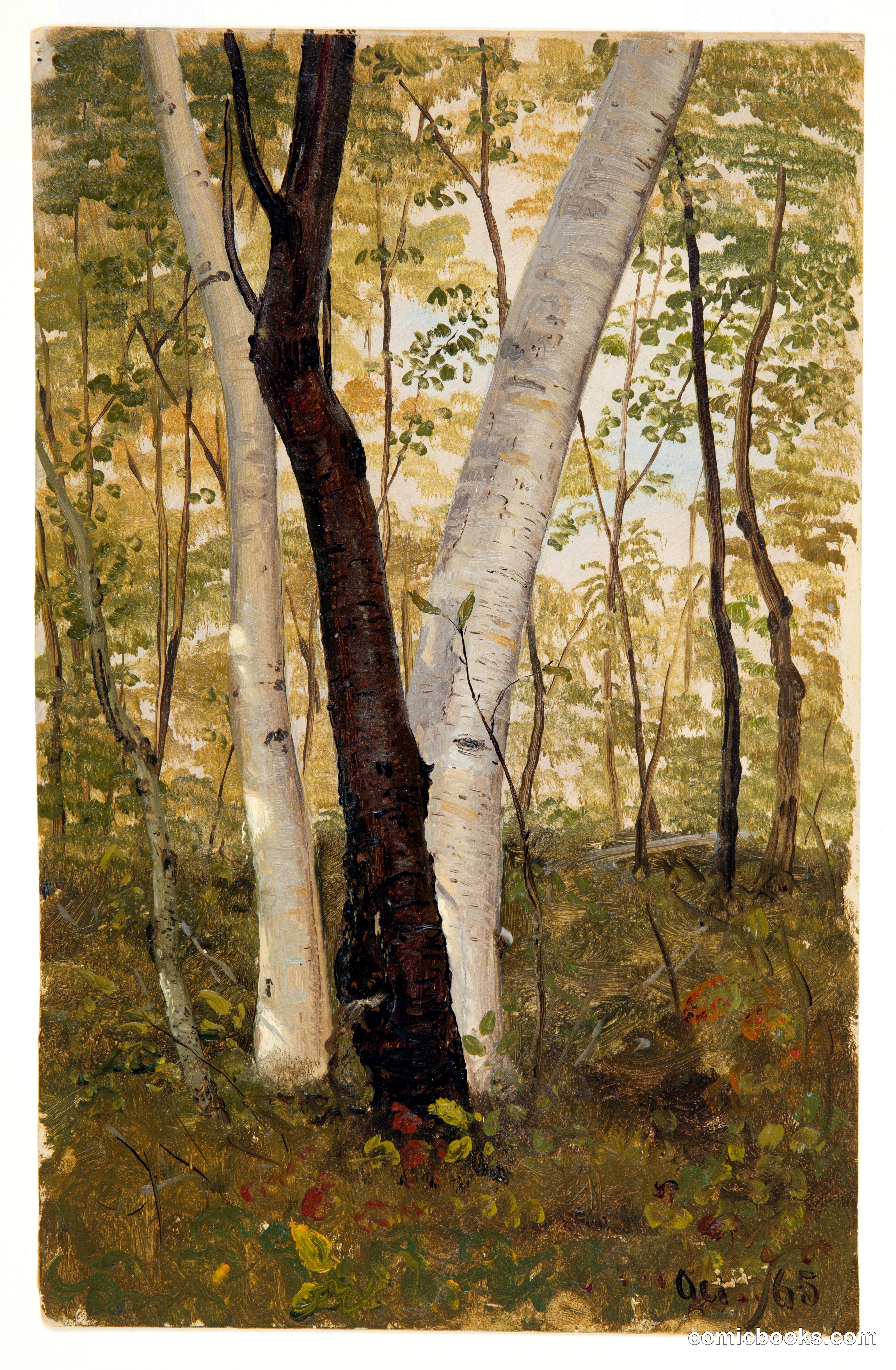 In the Woods, Vermont