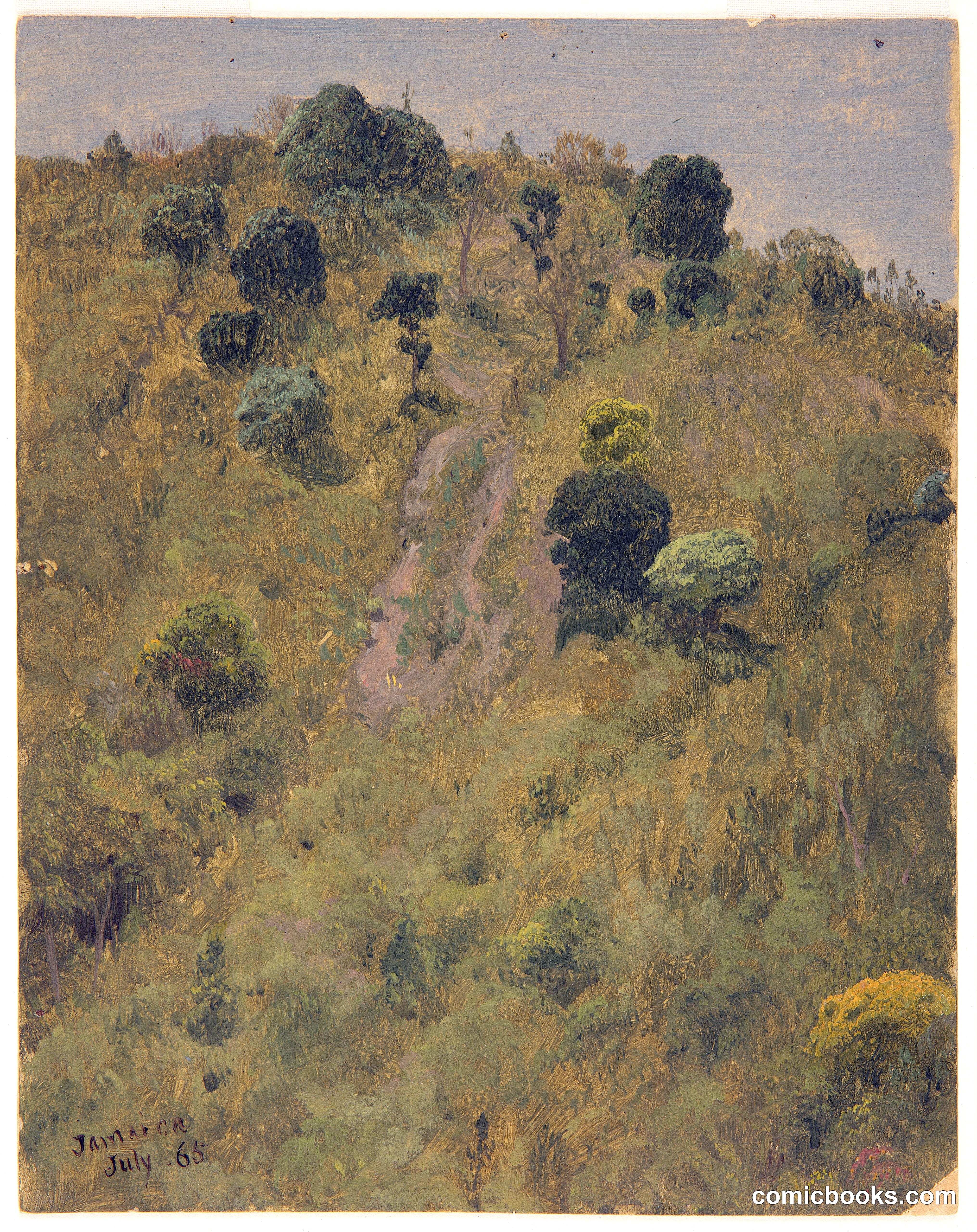Hillside, Jamaica