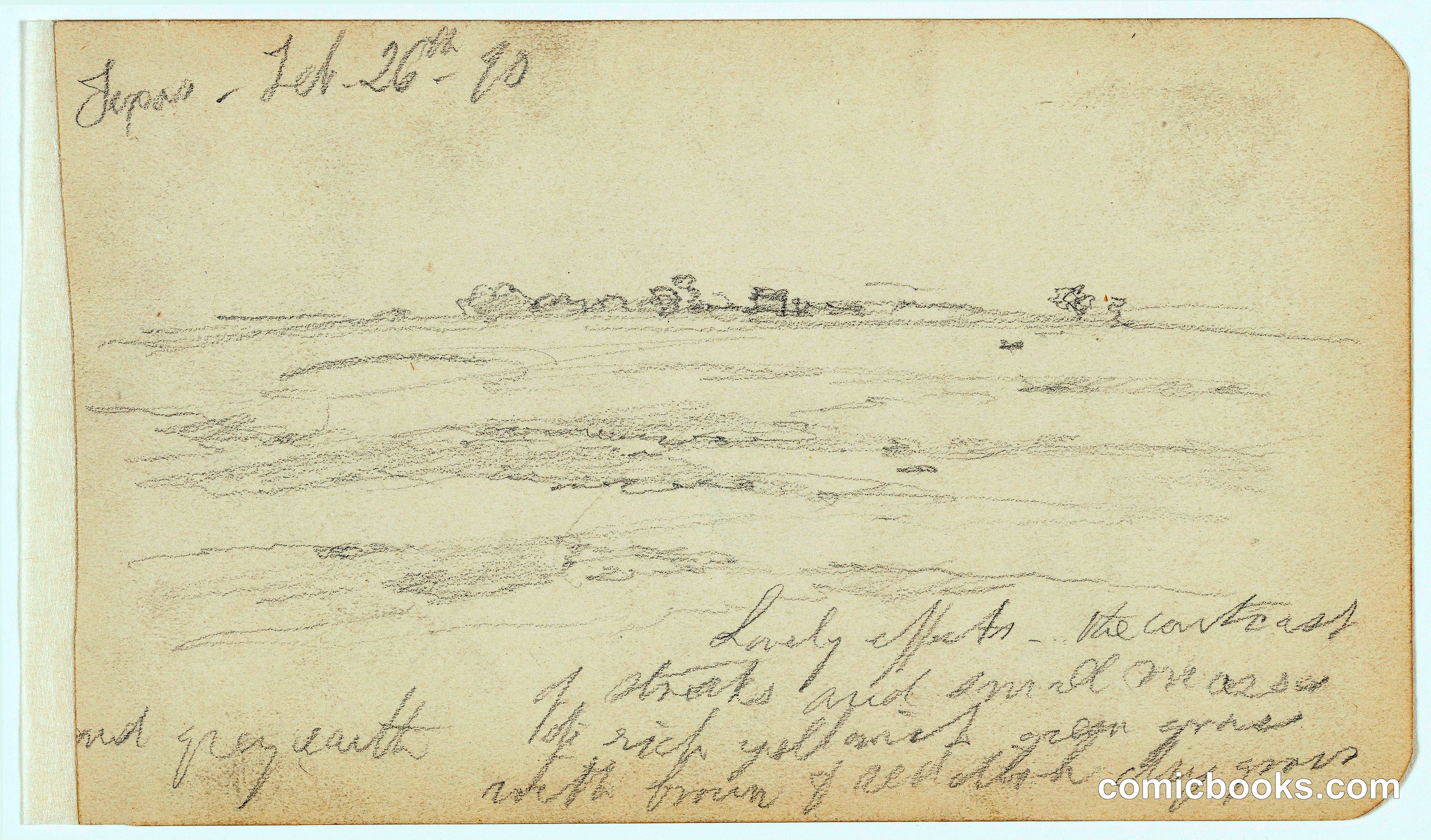 Texas Landscape
