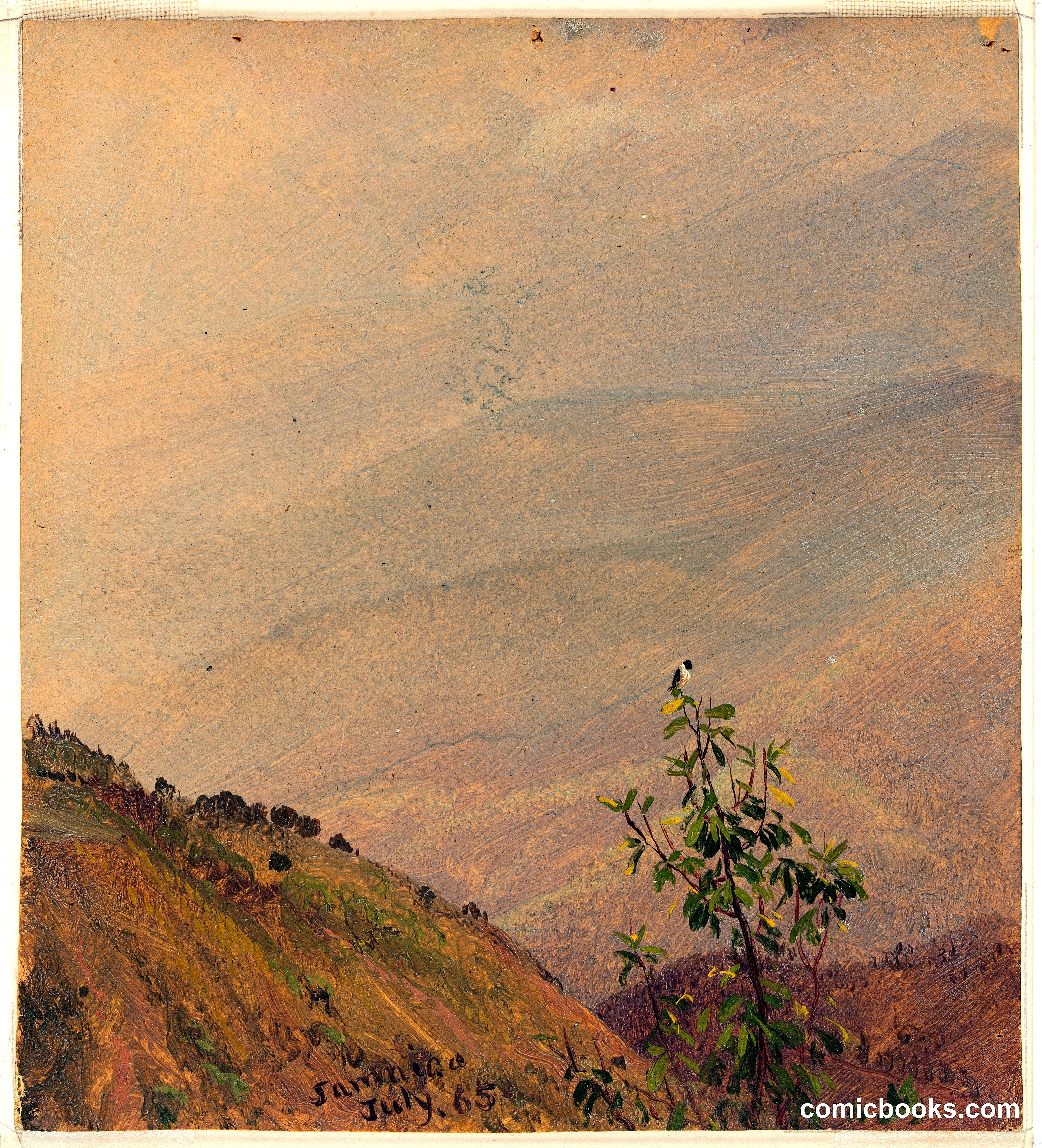 Distant Hills, Jamaica