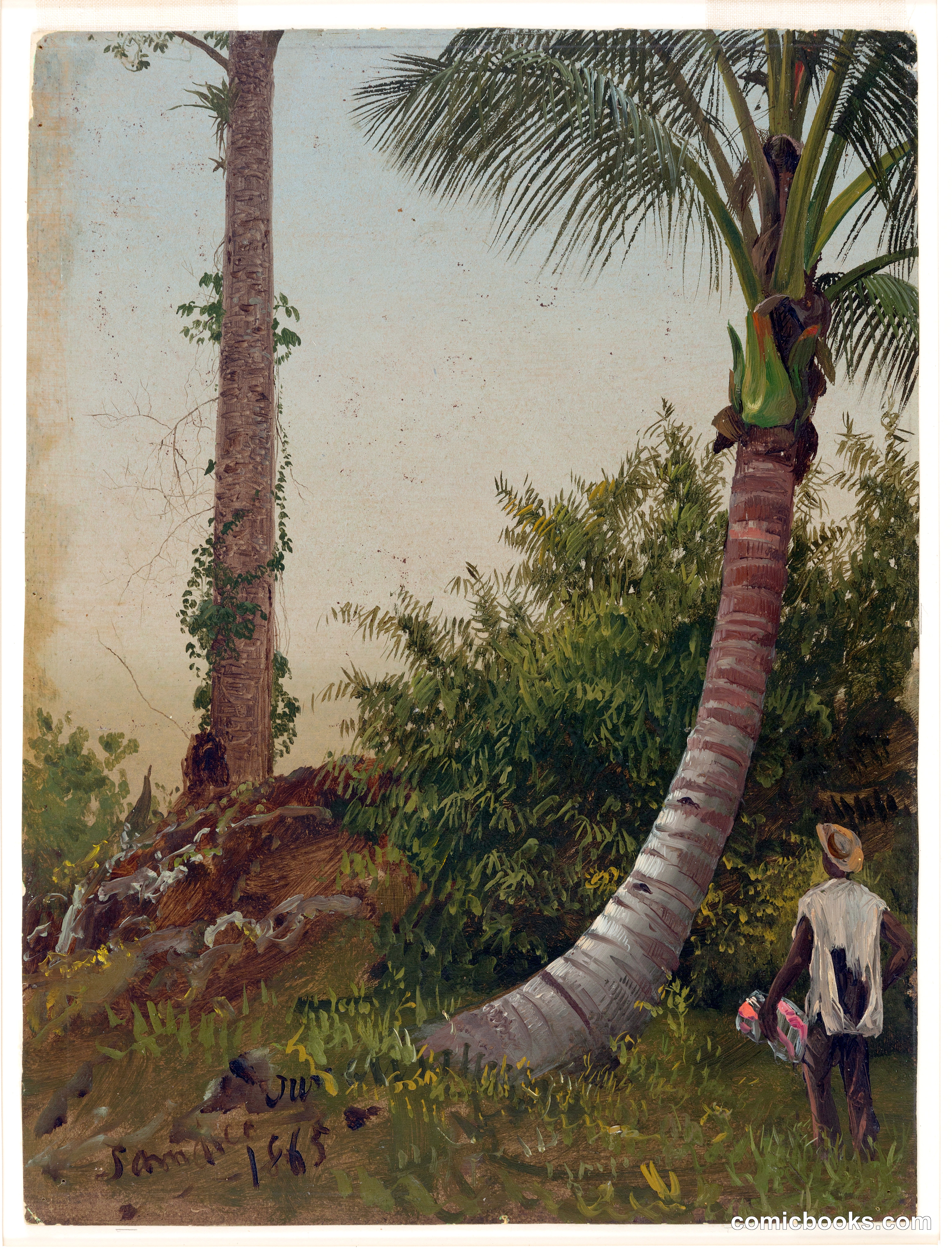 Coconut Palm with Figure, Jamaica