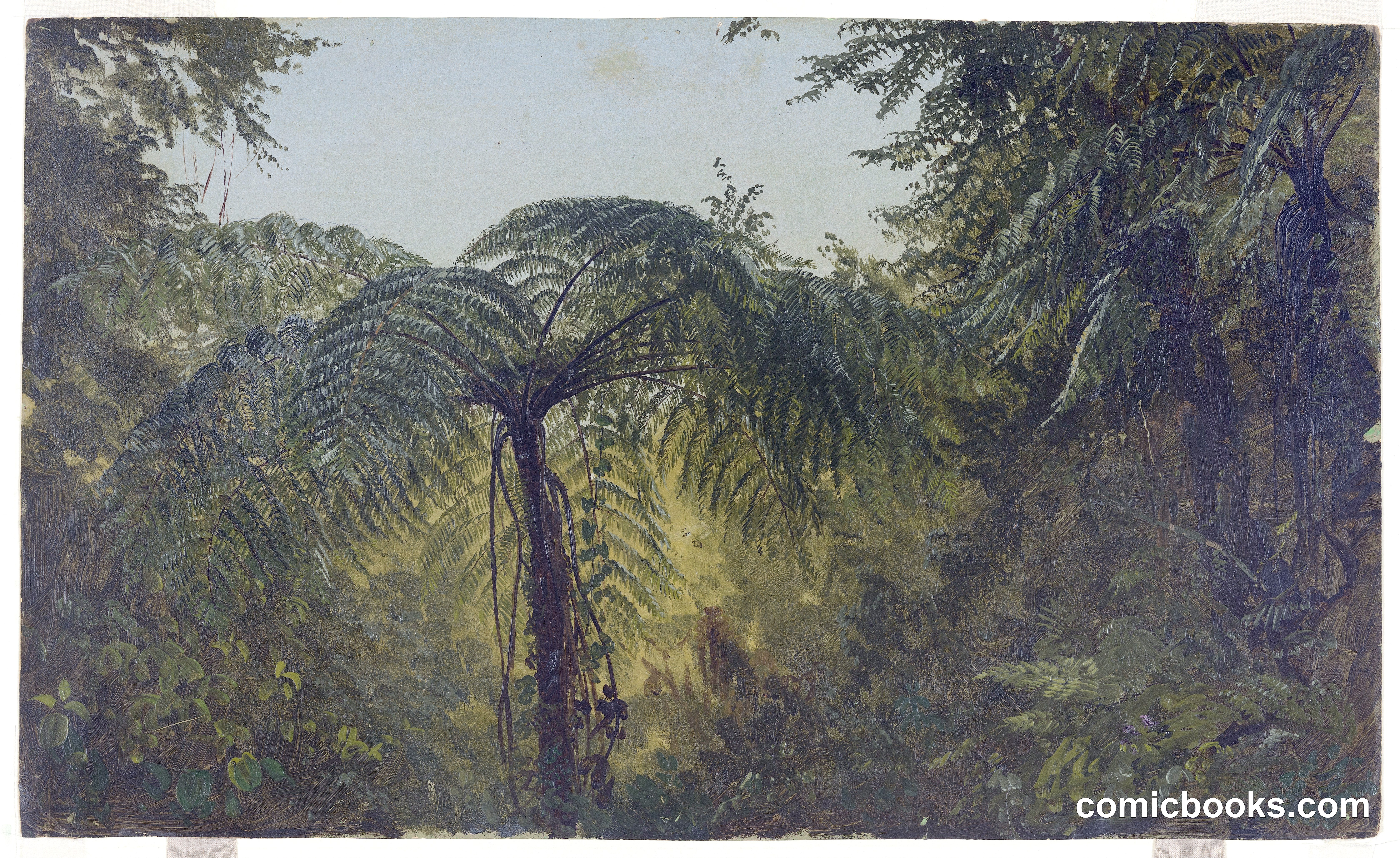 Jungle Foliage, Jamaica