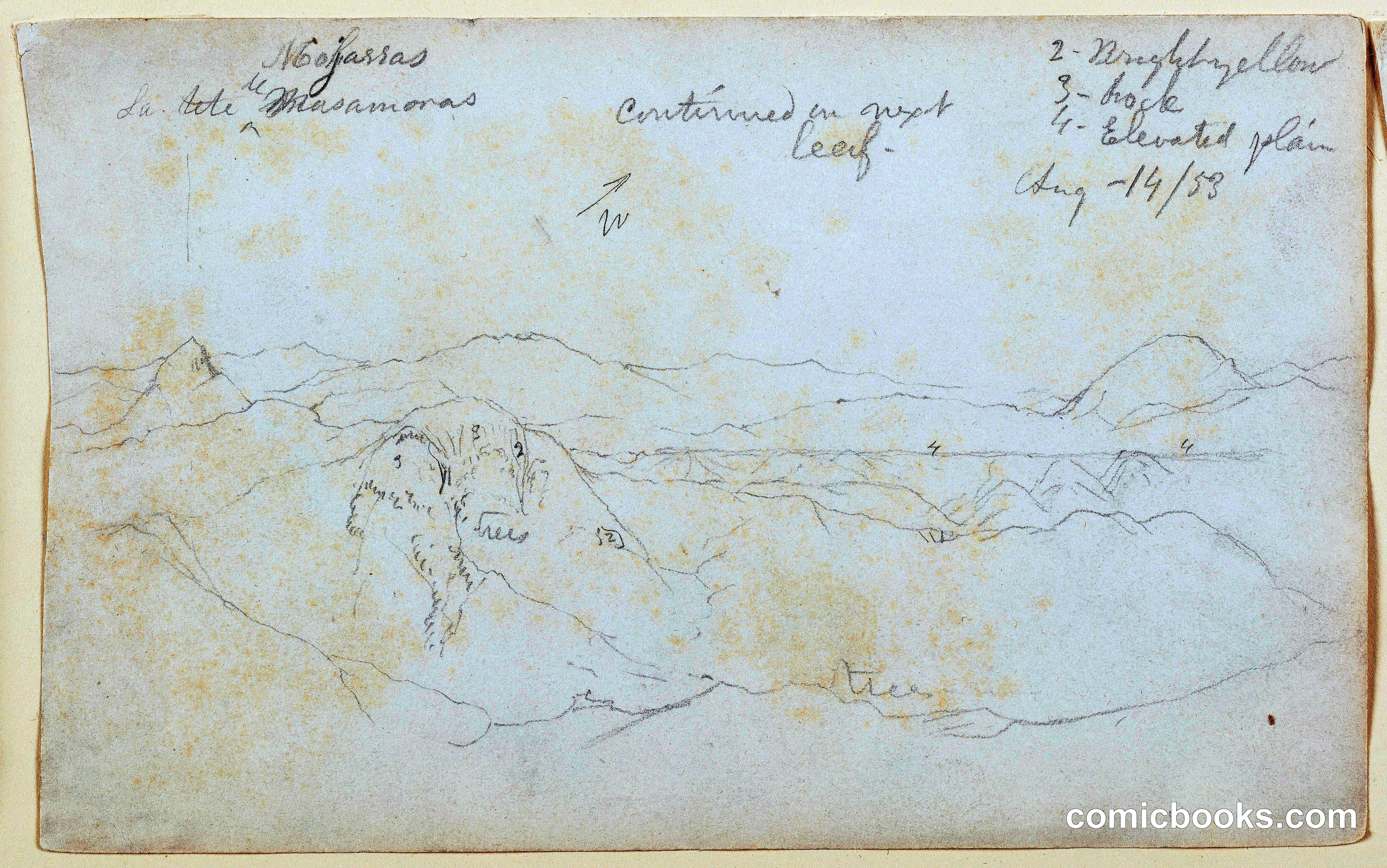 View of an Elevated Plain from Mojarras, Colombia, Part One