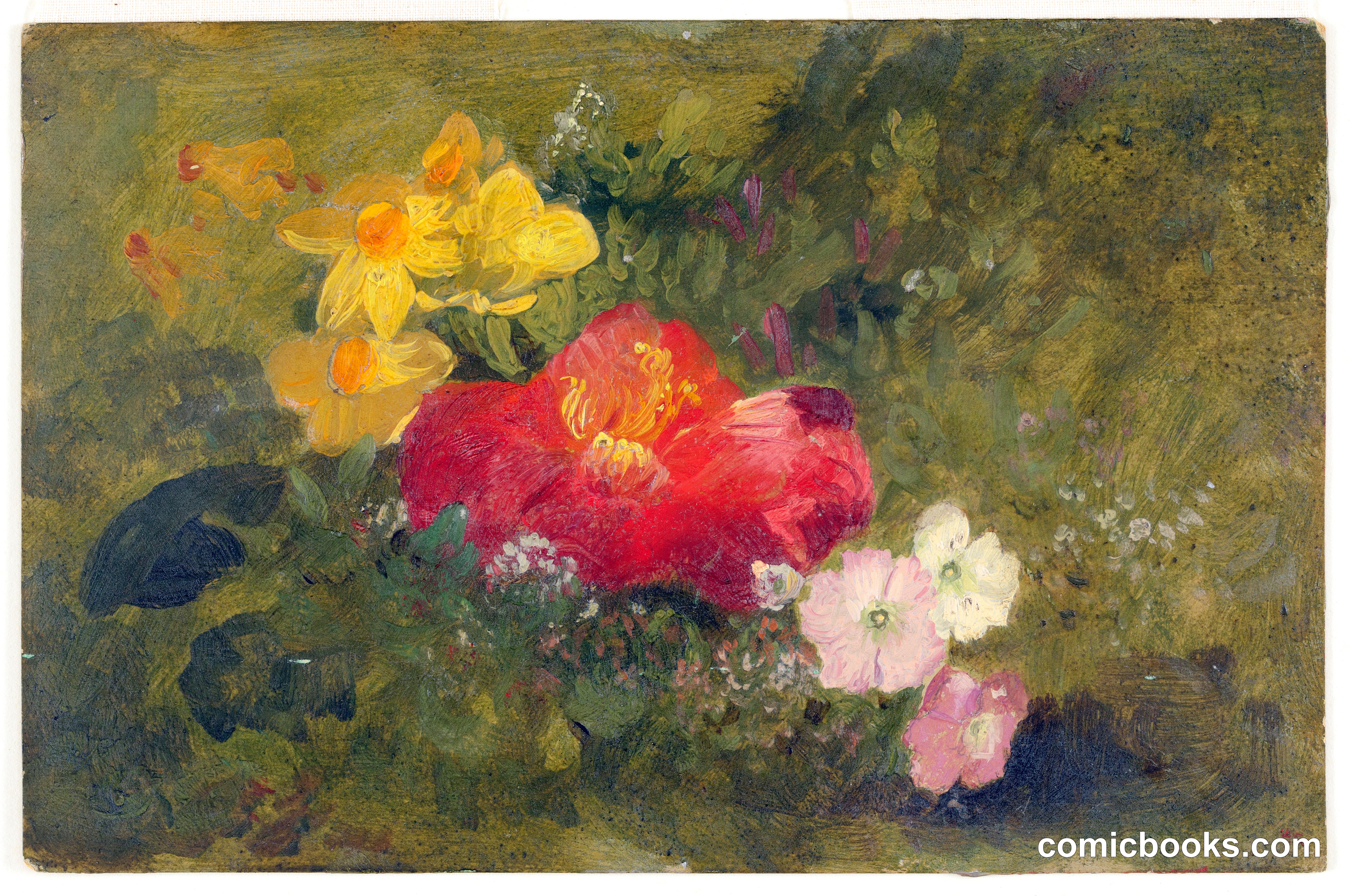Wild Flowers