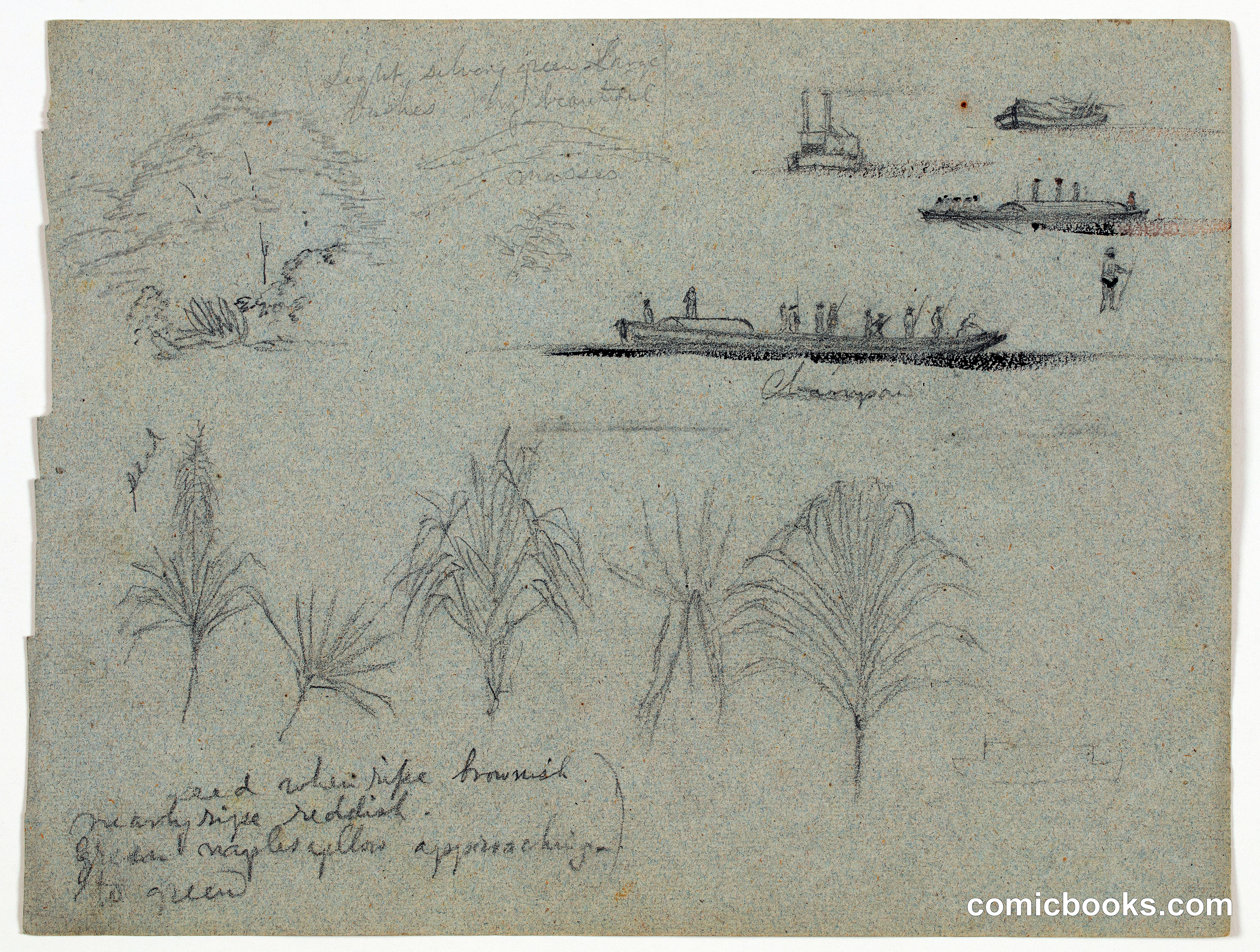 Sketches of Plants, a Steamer, and a Champan from the Río Magdalena, Colombia
