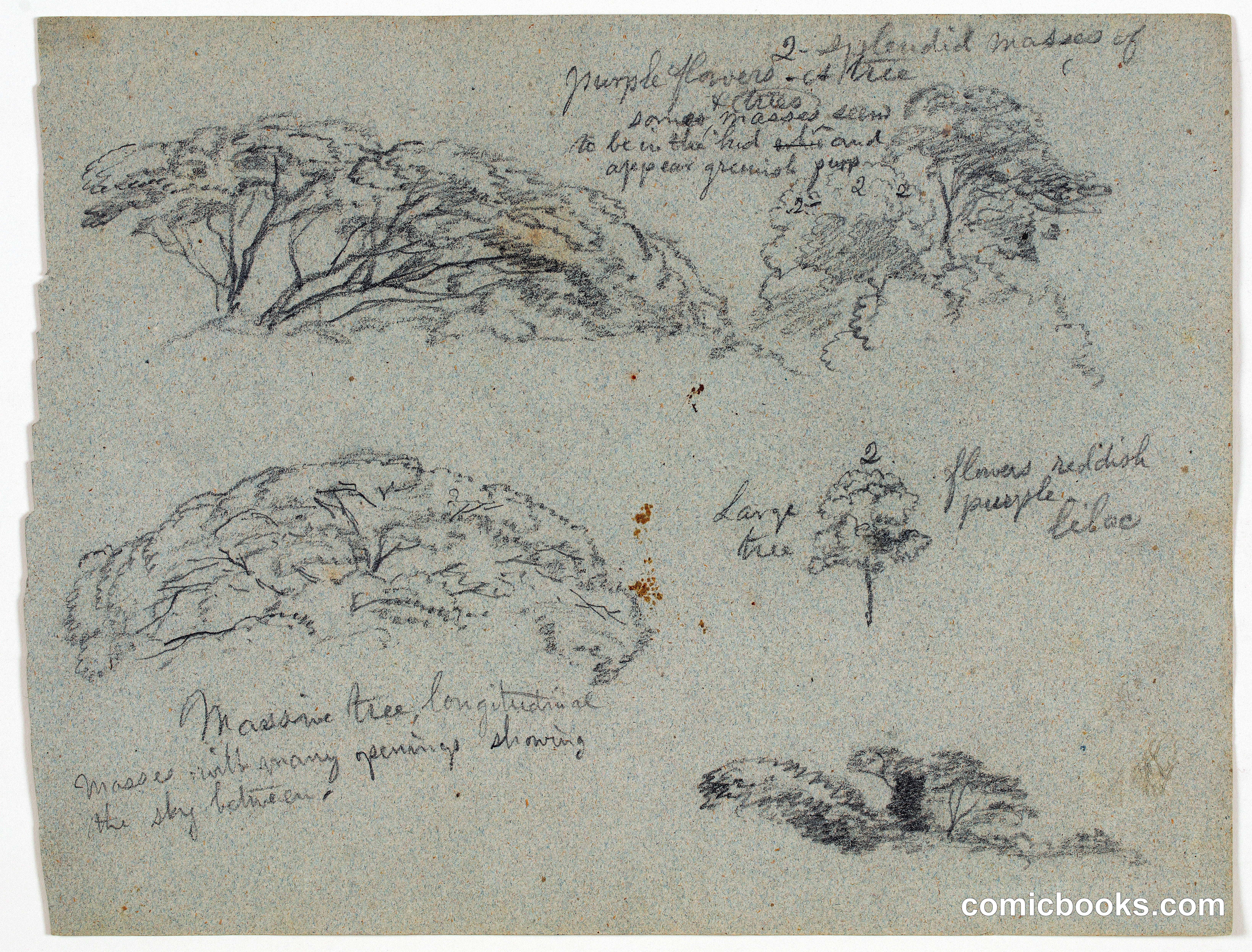 Sketches of Tree Tops, Río Magdalena, Colombia