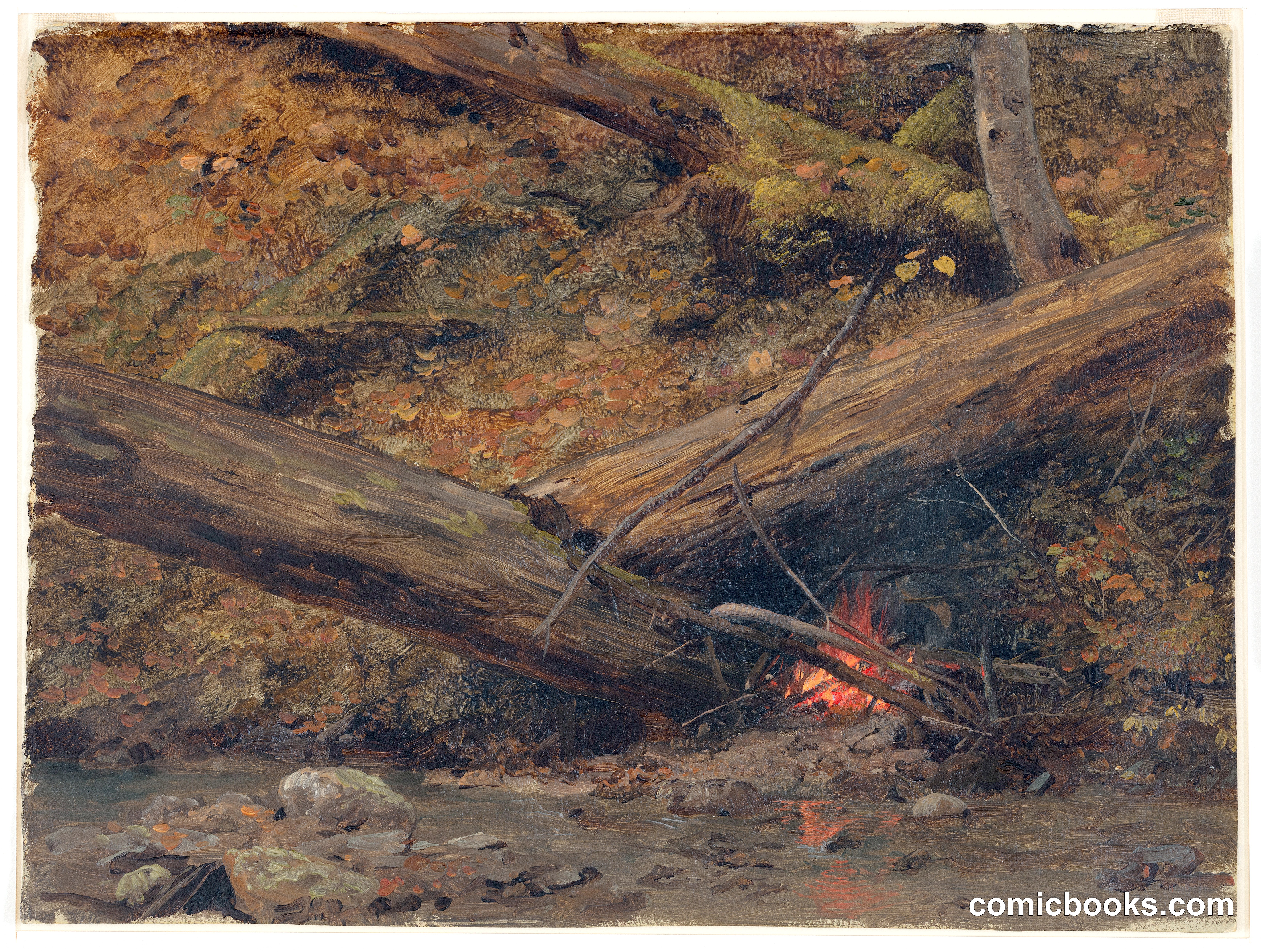 Campfire, Maine Woods