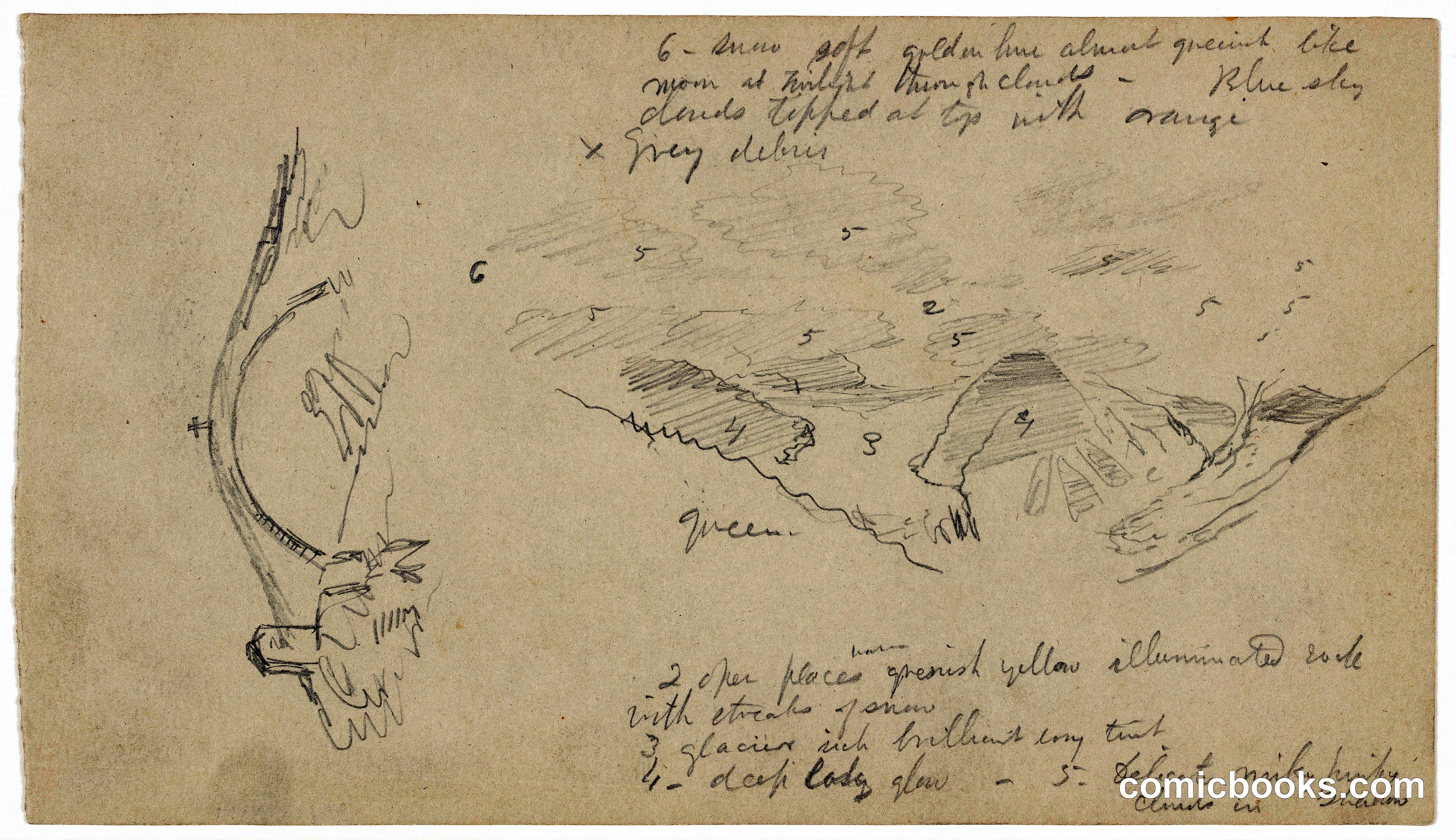 Study Sketches: Bird and Landscape Details