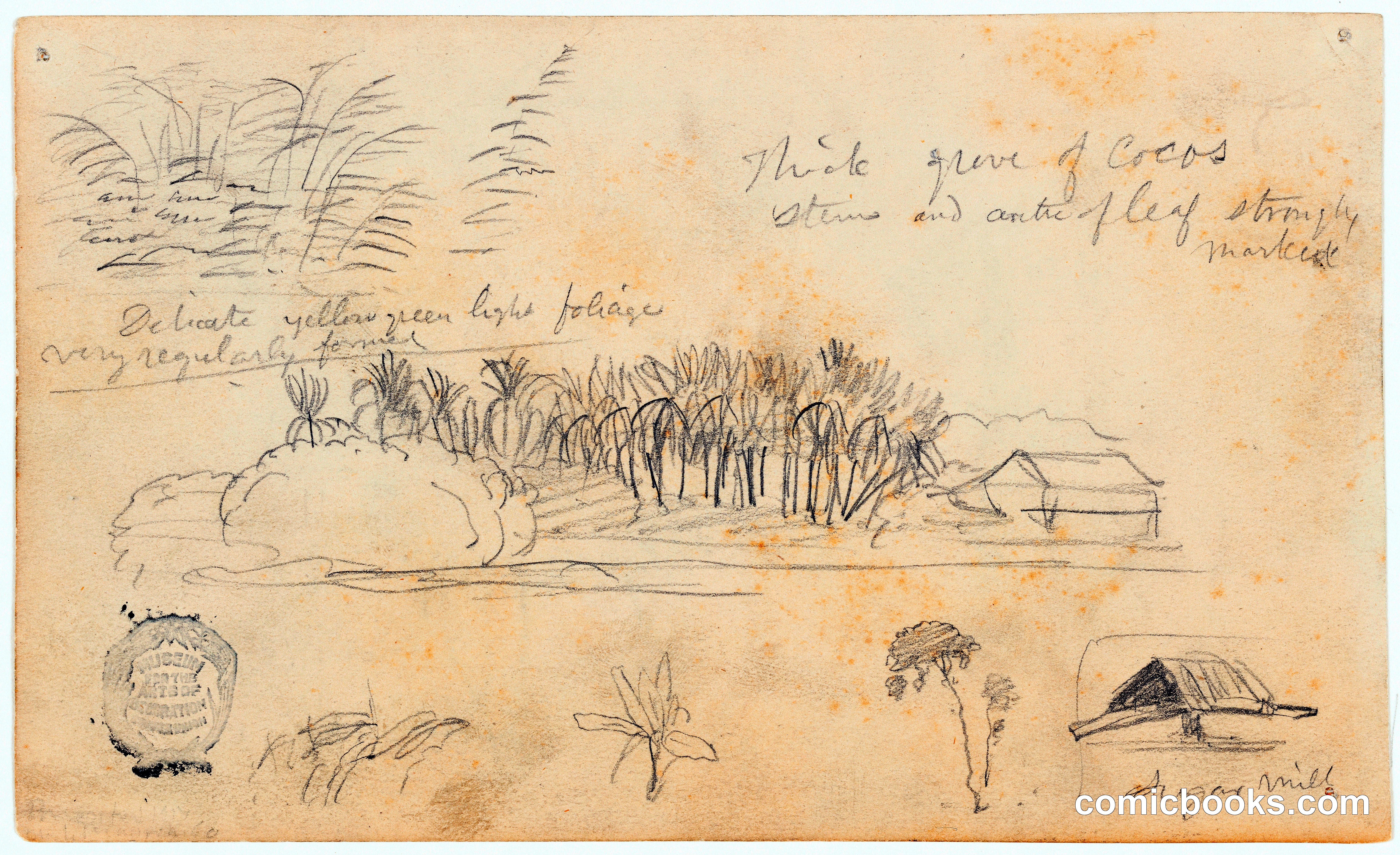 Mixed Sketches with a Coconut Grove and Sugar Mill, Ecuador