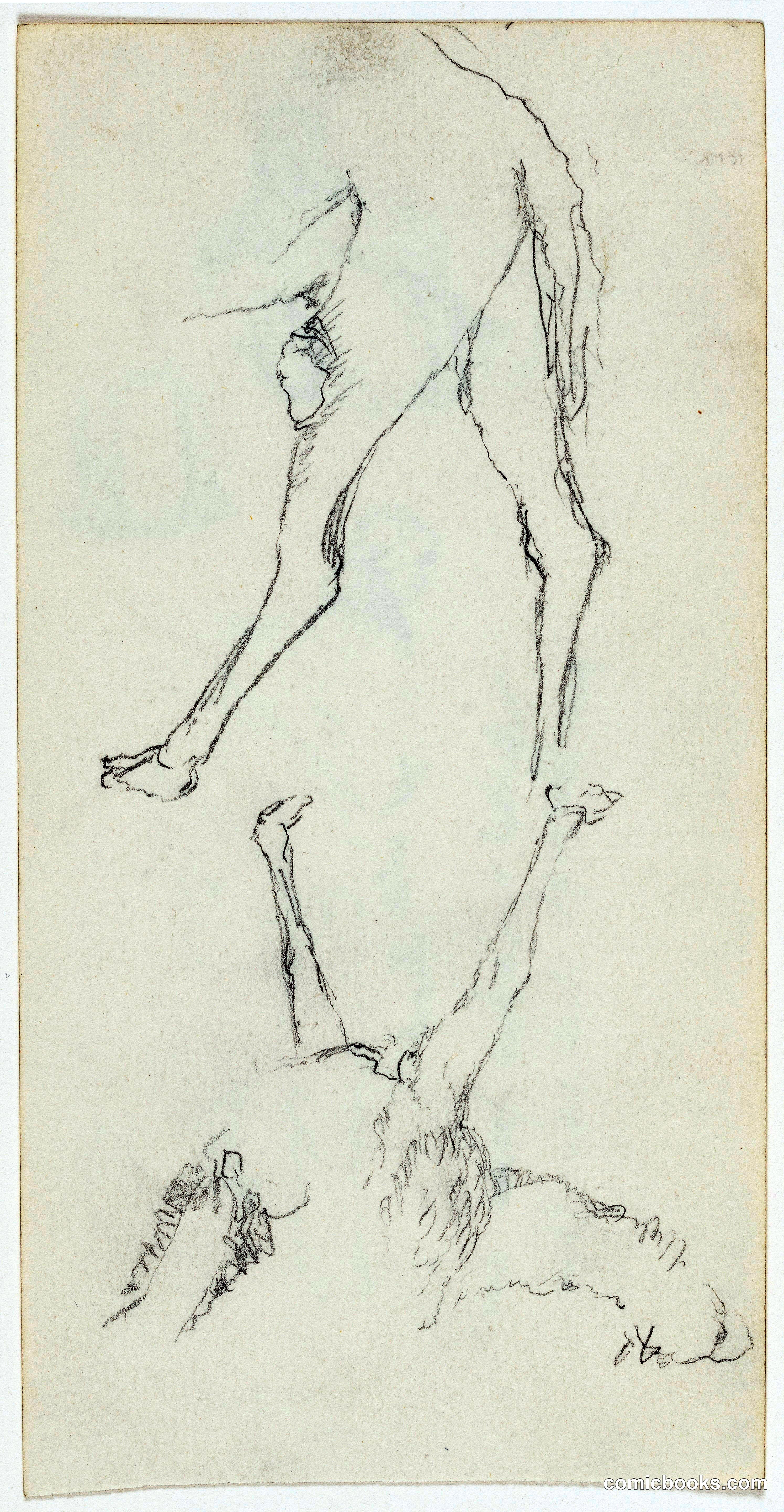 Study of Camel Legs