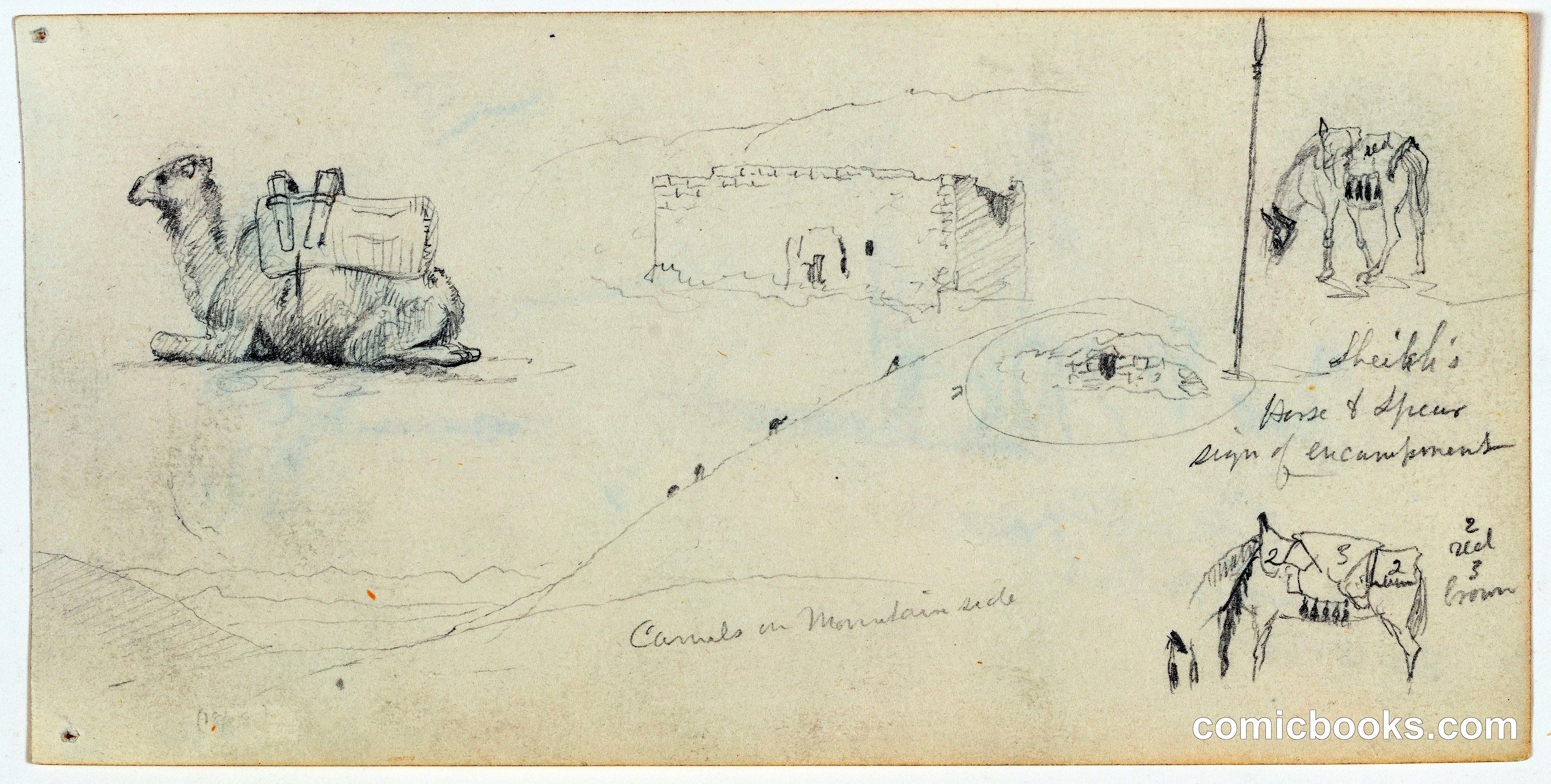 Camels on a Mountainside with Mixed Sketches, Palestine