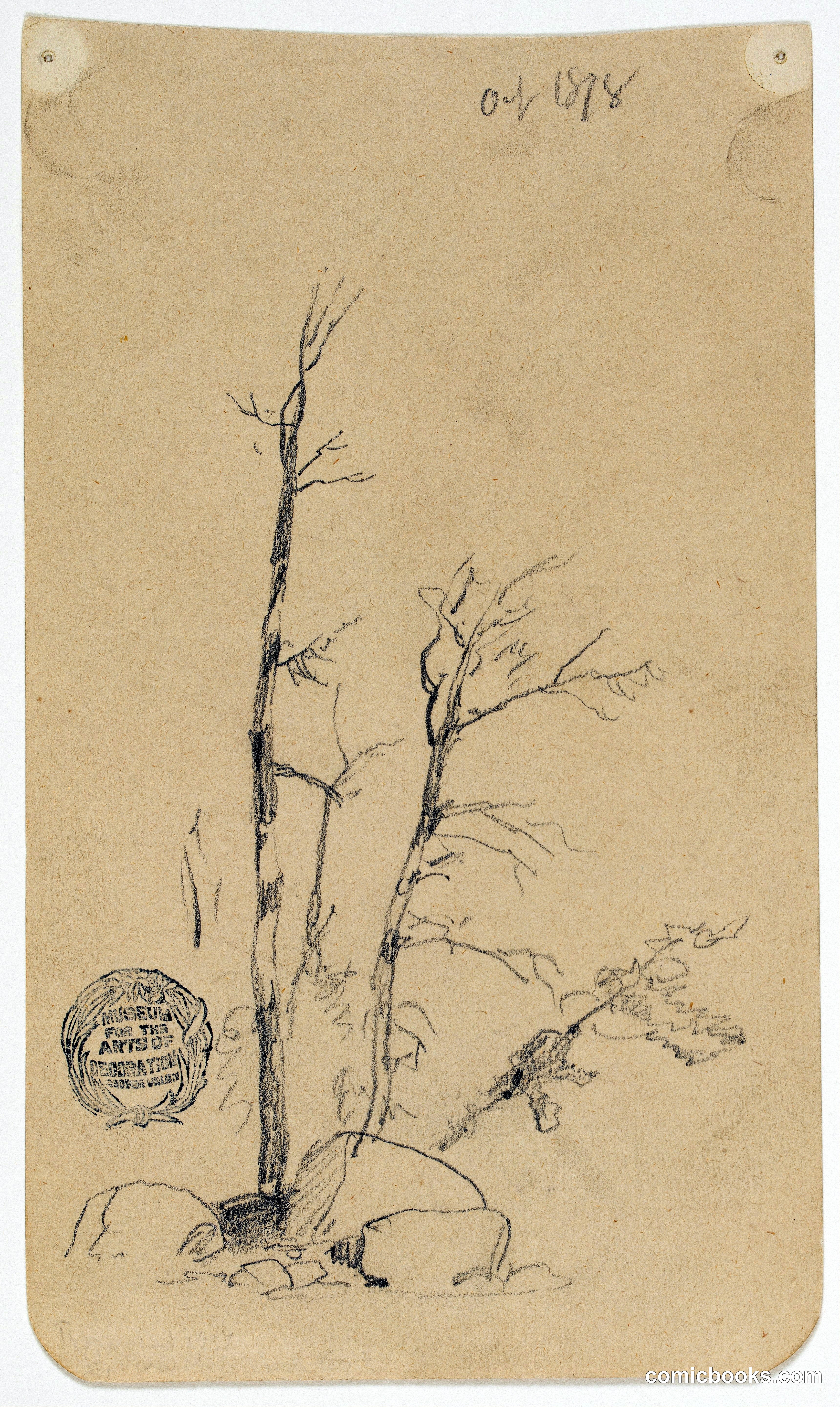 Trees and Boulders near Millinocket, Maine