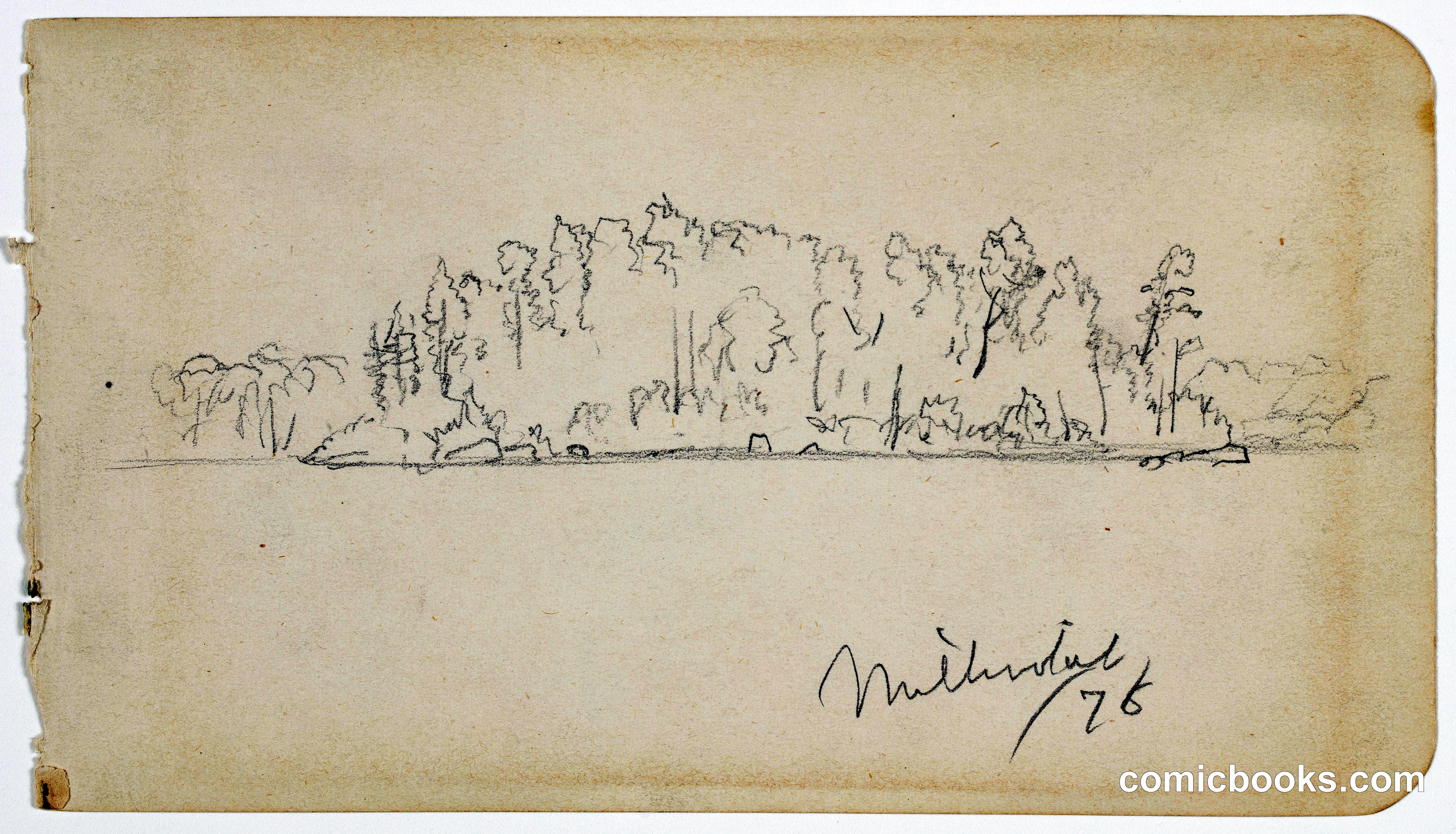 Wooded Island, Lake Millinocket, Maine