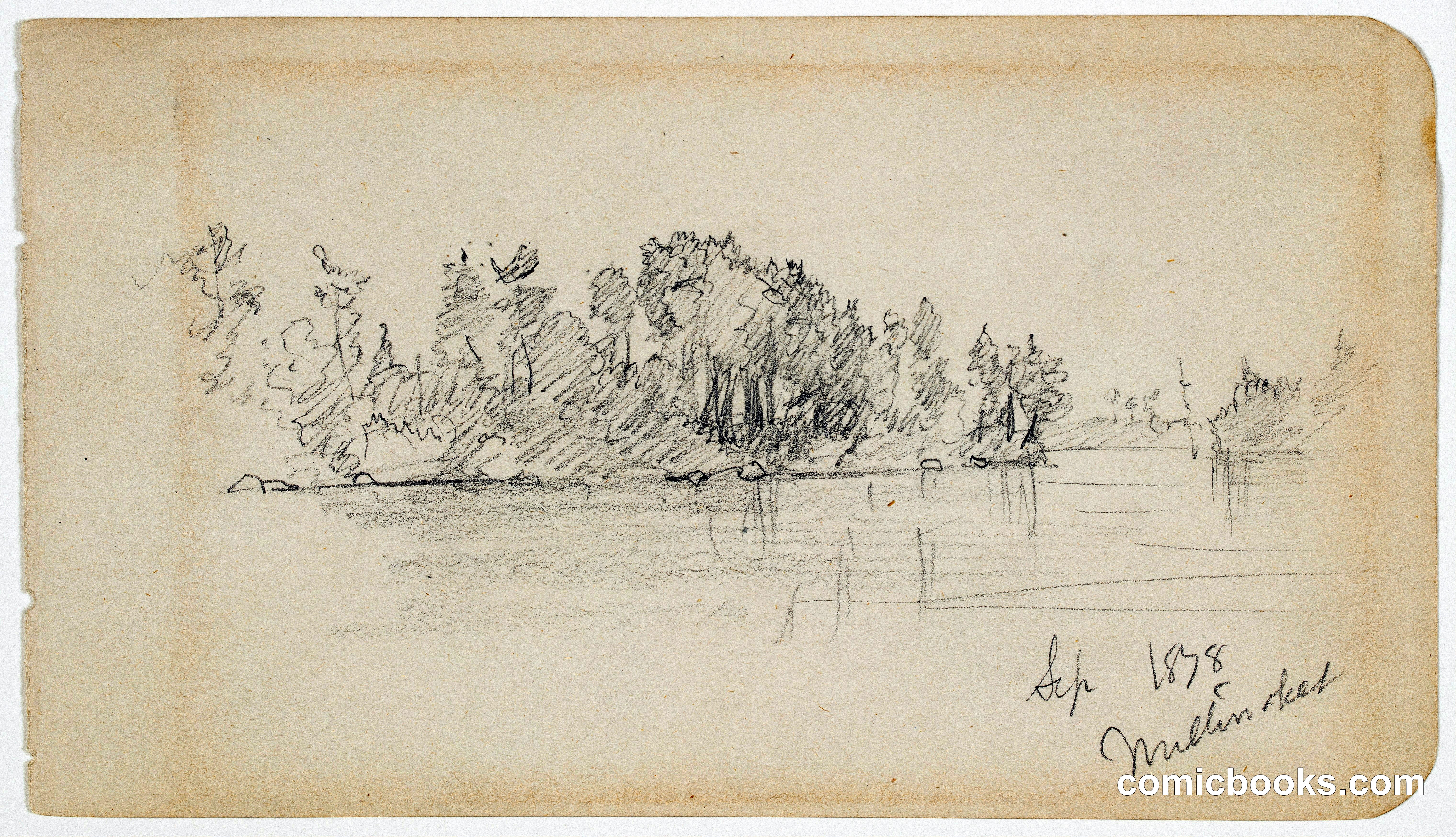 Wooded Shore of Lake Millinocket, Maine