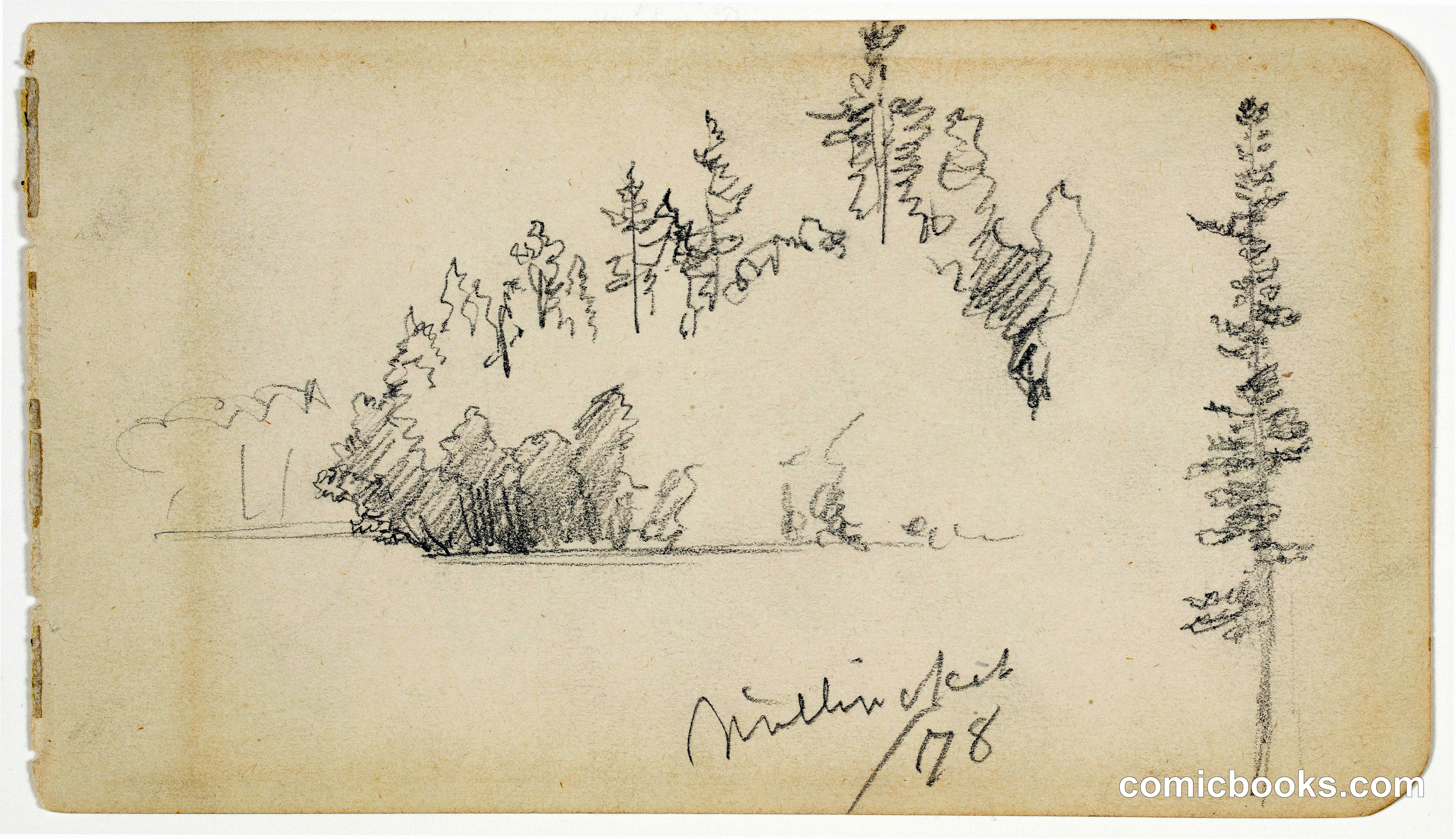 Wooded Shoreline, Lake Millinocket, Maine