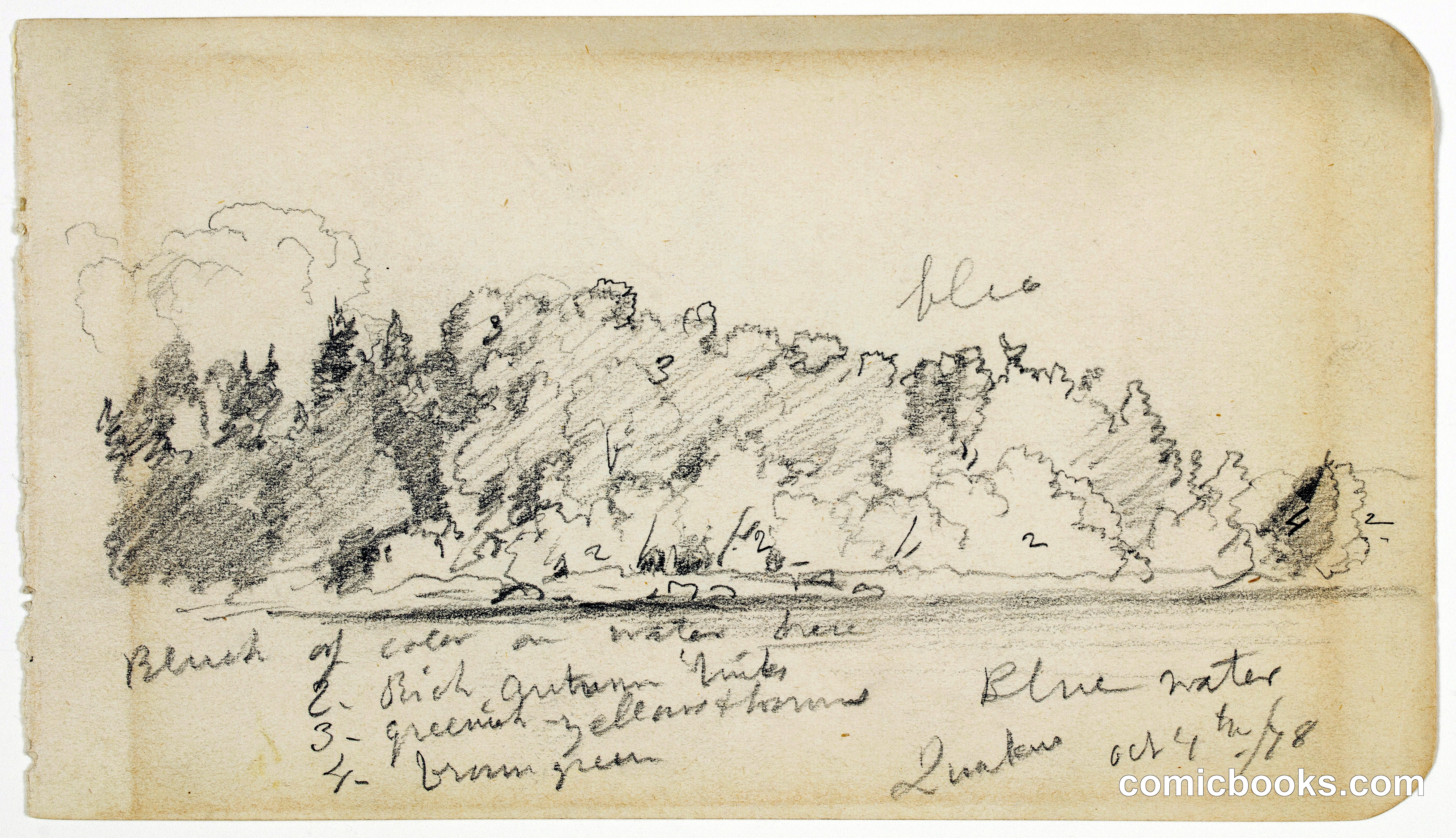 Wooded Shore, Quakish Lake, Maine