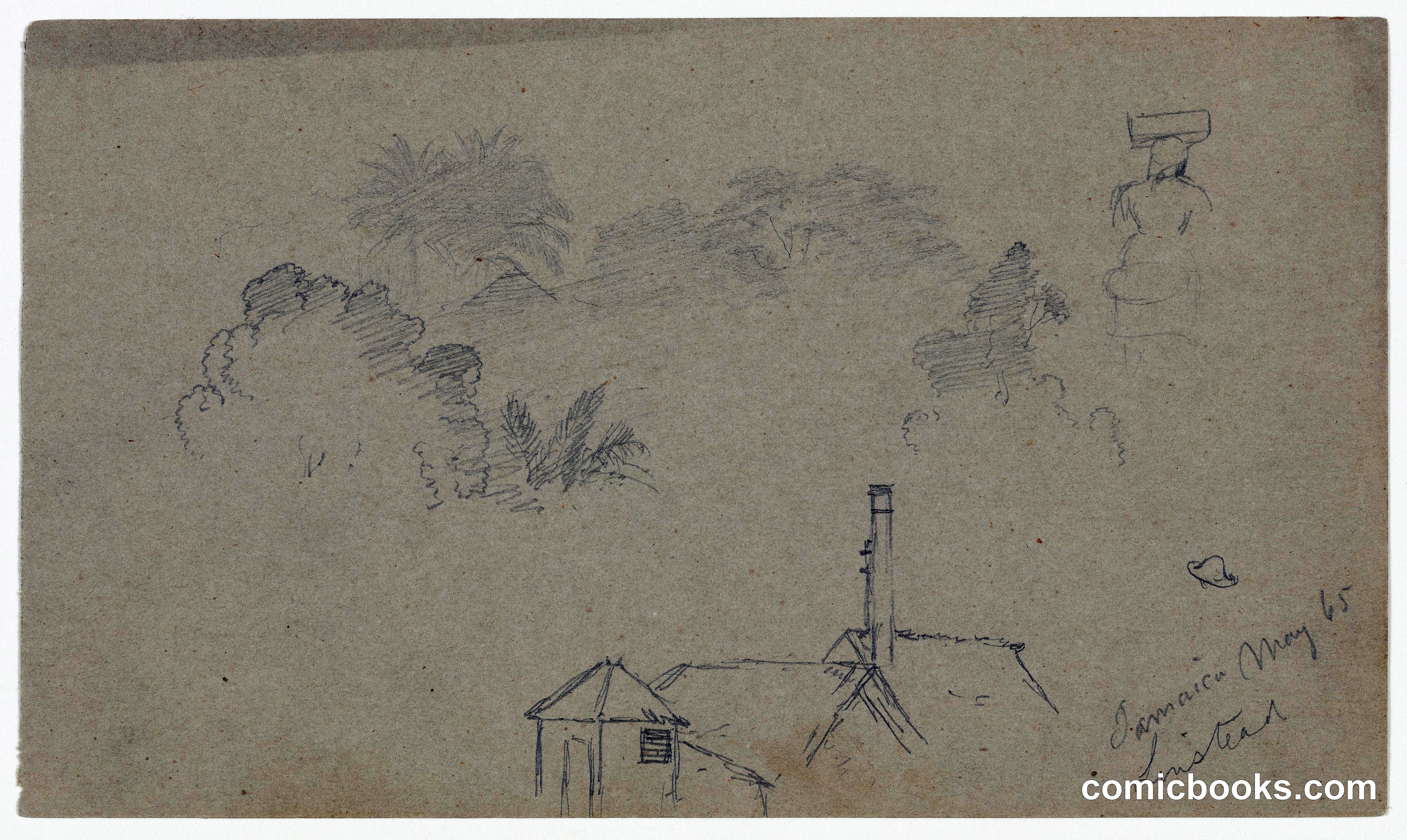 Sketch Studies from Jamaica