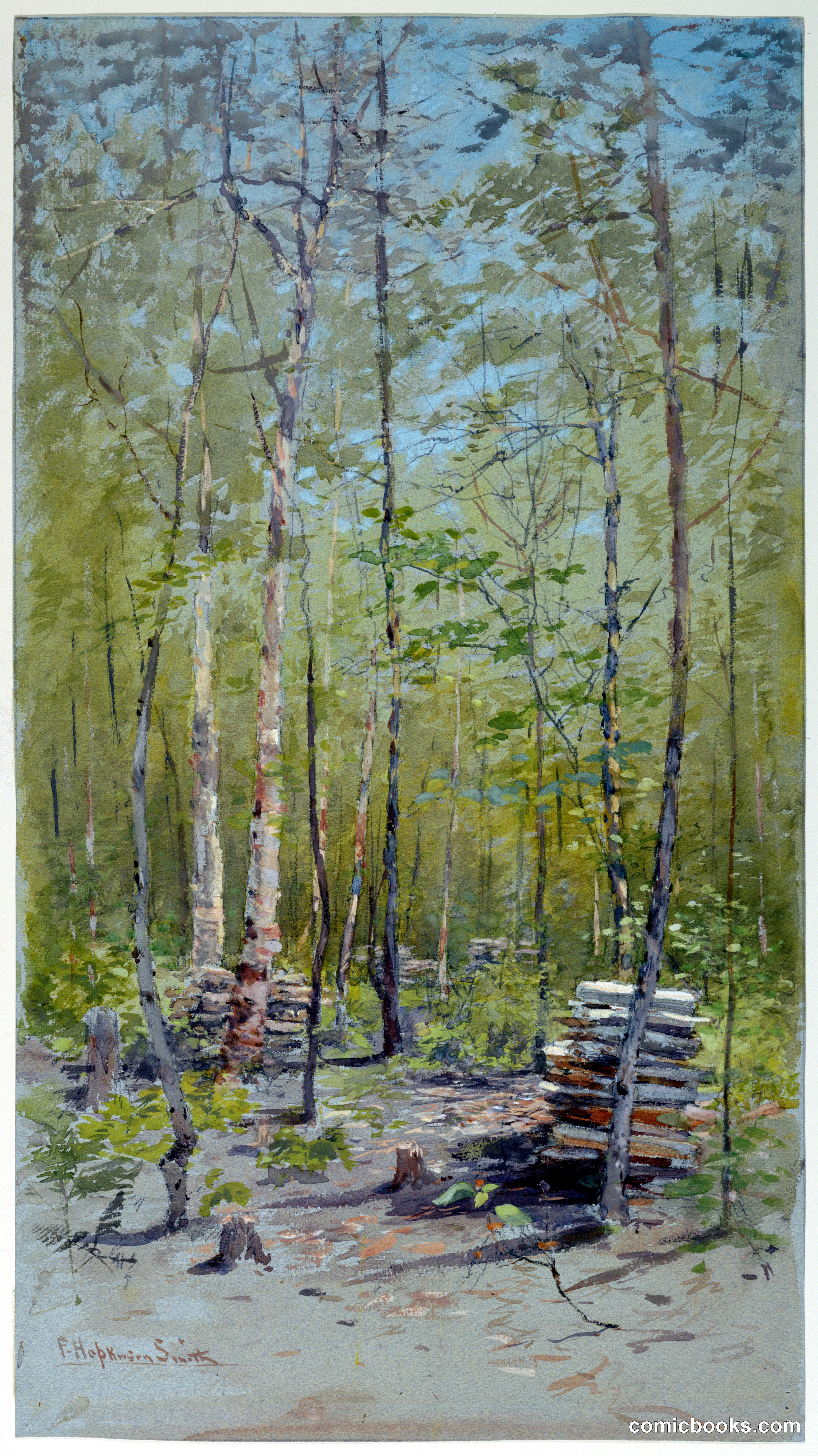 Birch Trees