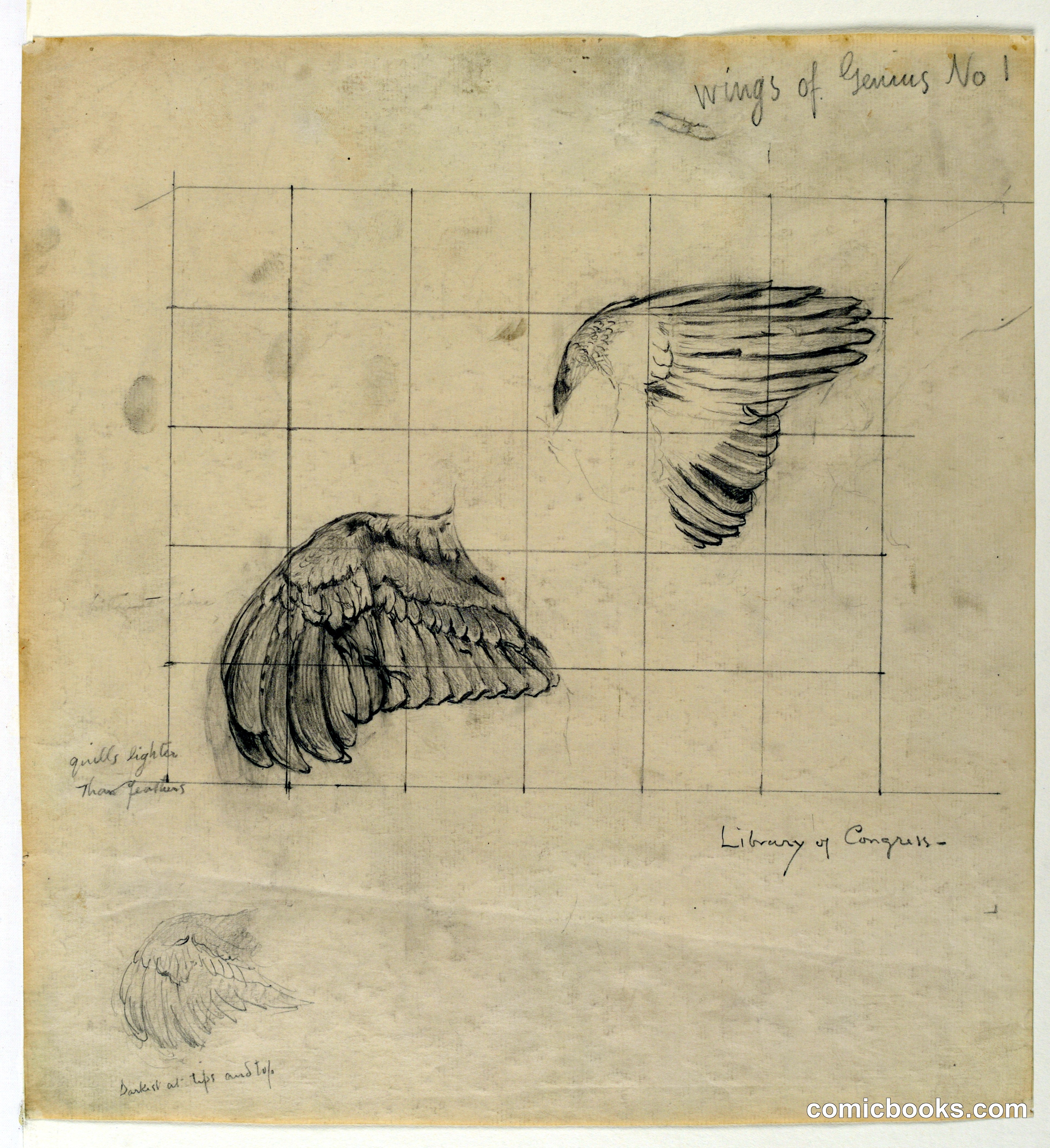 Study for 'Wings of Genius No. 1'
